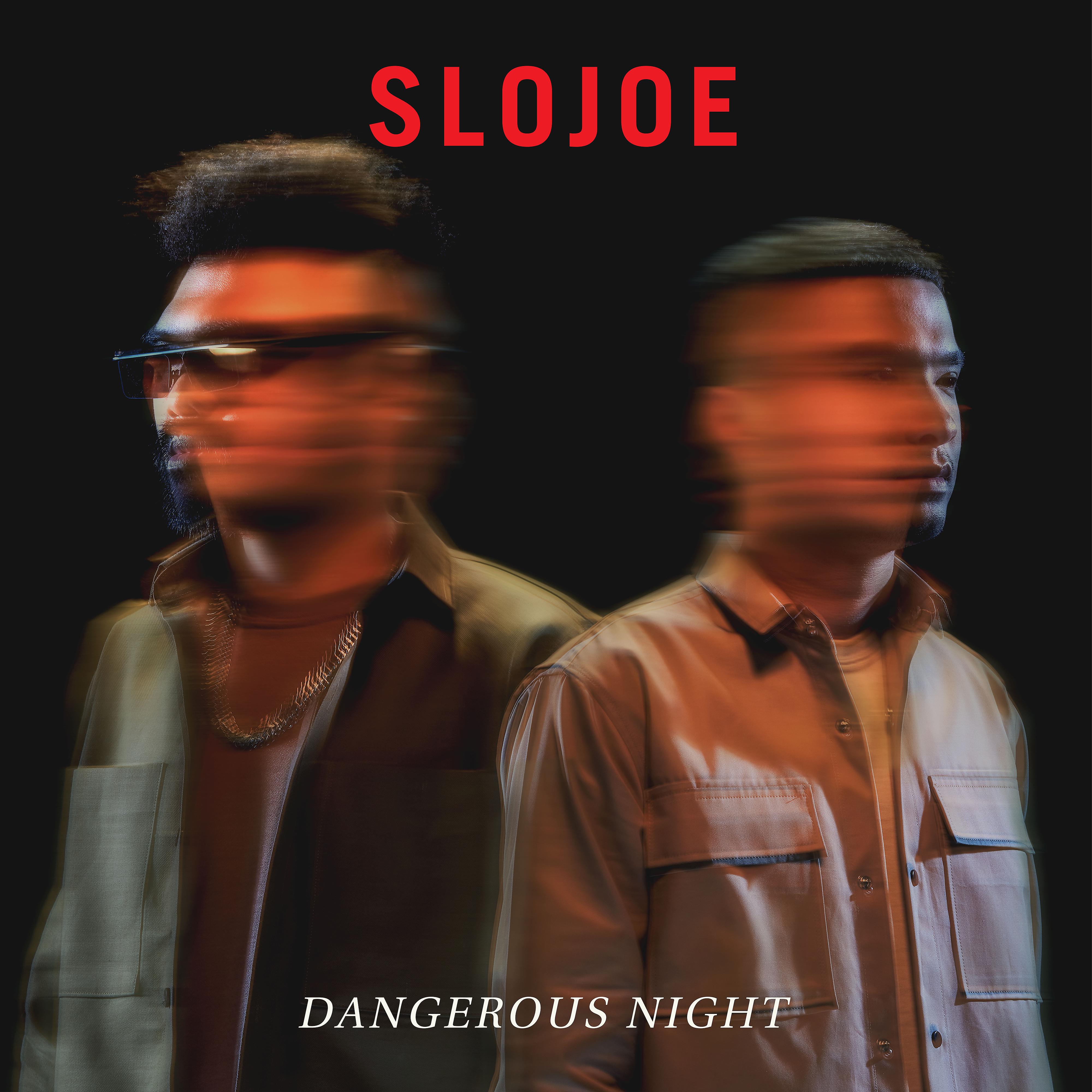 Постер альбома Dangerous Night