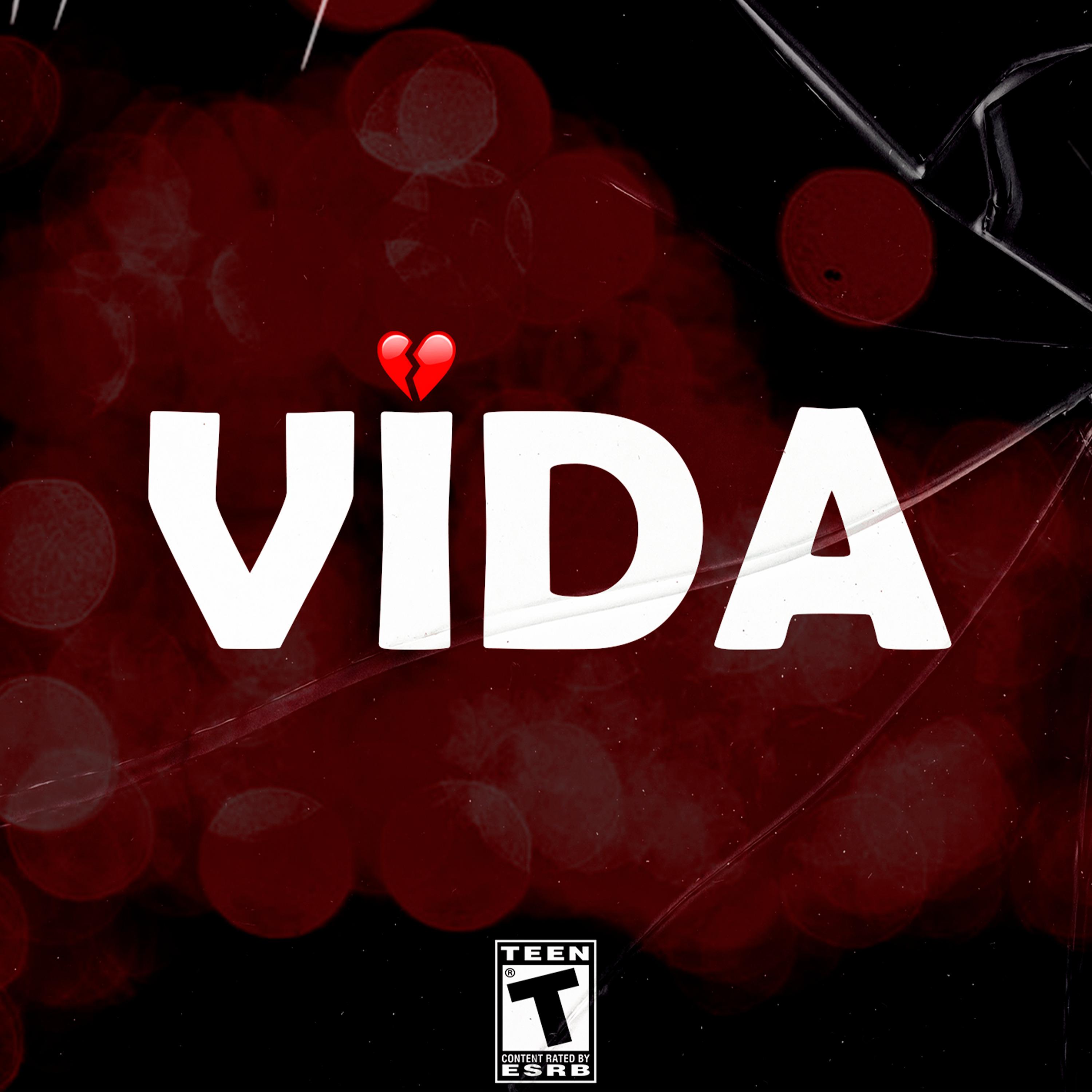Постер альбома Vida