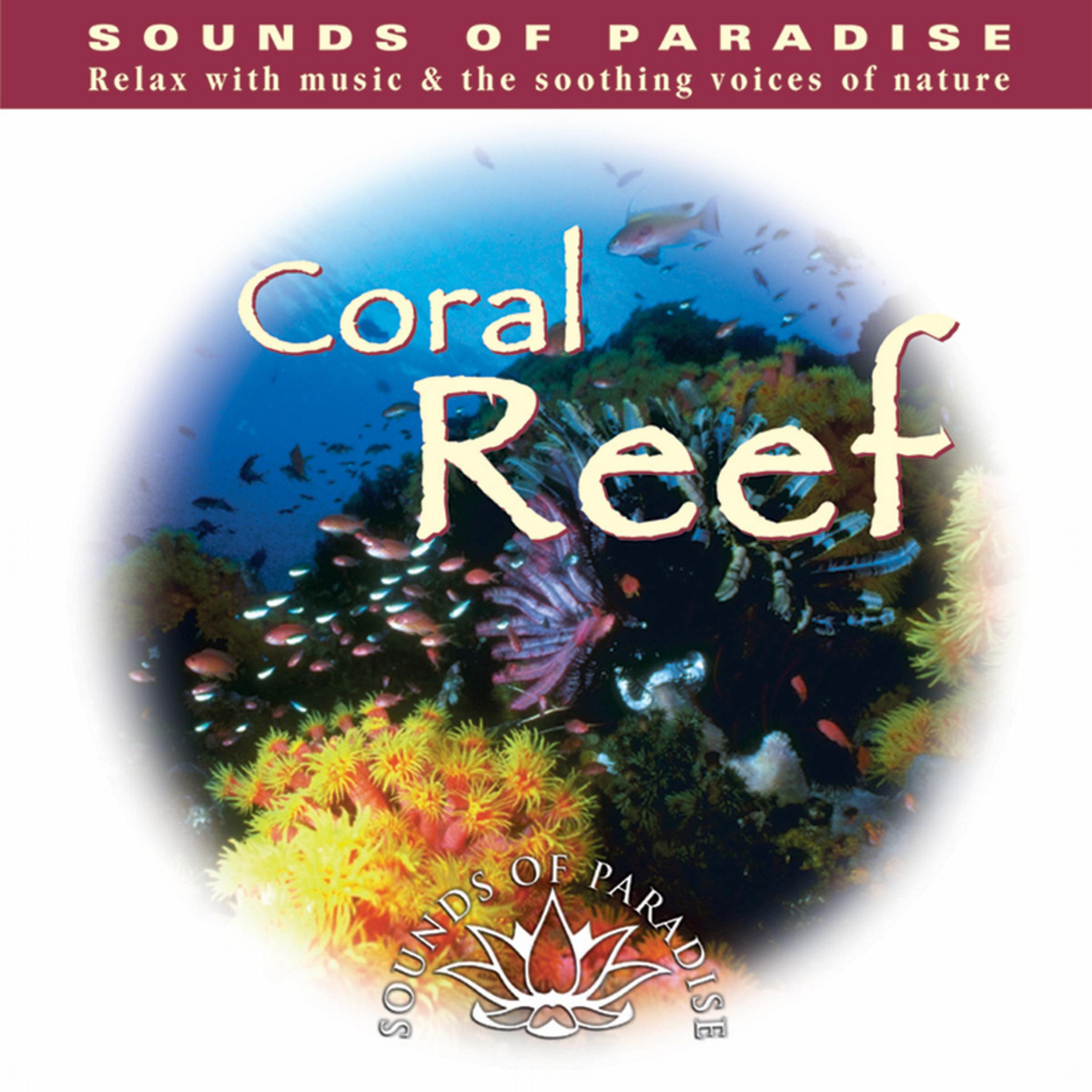 Постер альбома Coral Reef