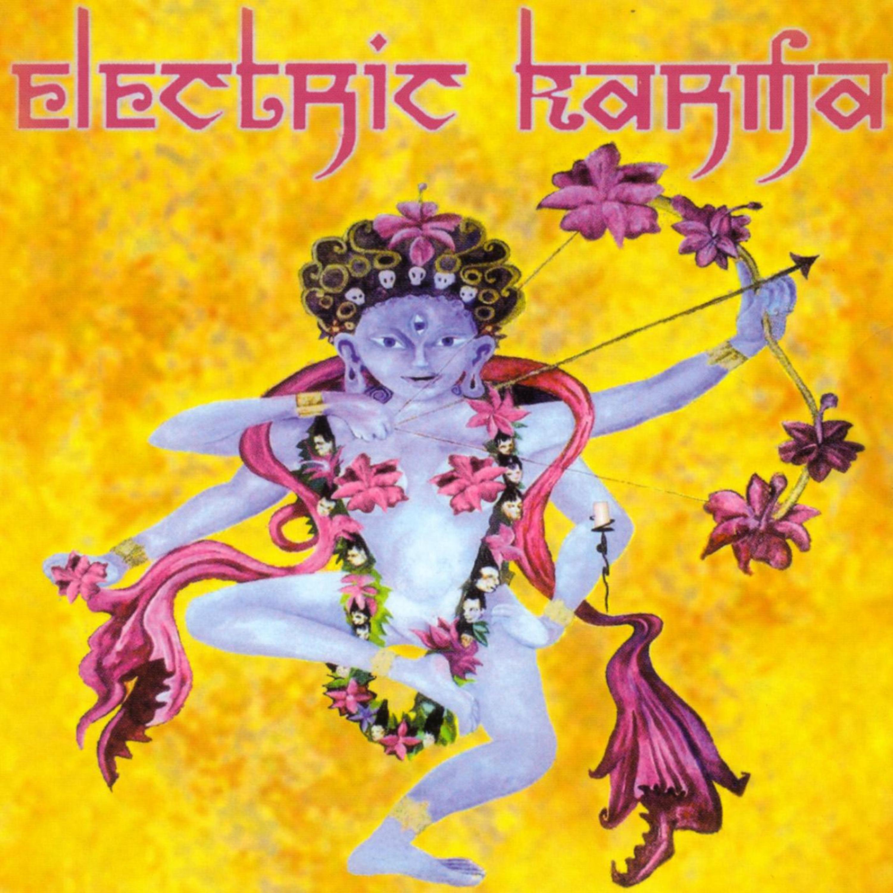 Постер альбома Electric Karma