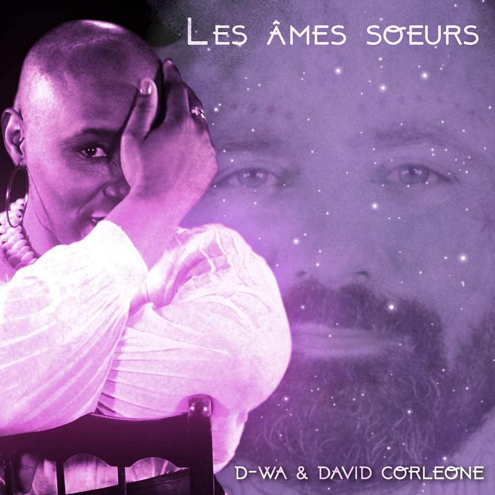 Постер альбома Les âmes sœurs