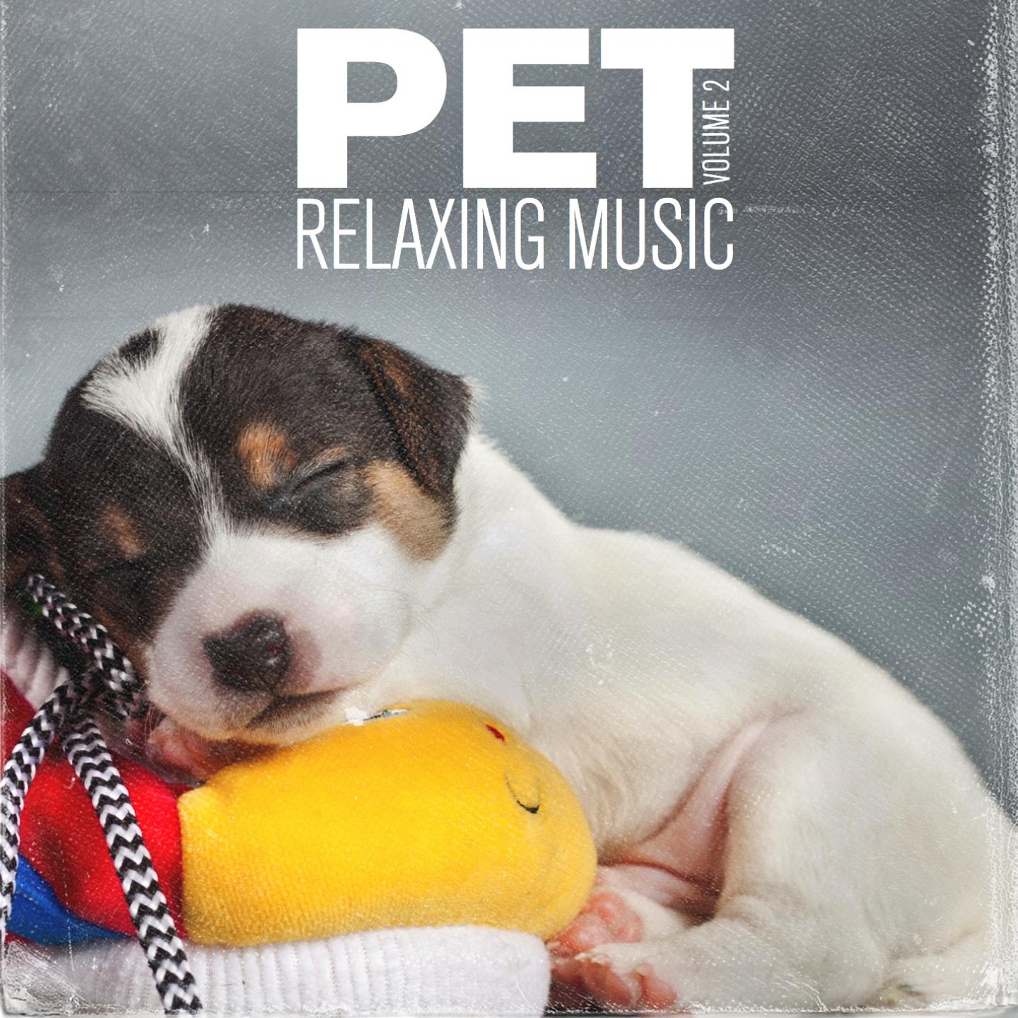 Постер альбома Pet Relaxing Music, Vol. 2