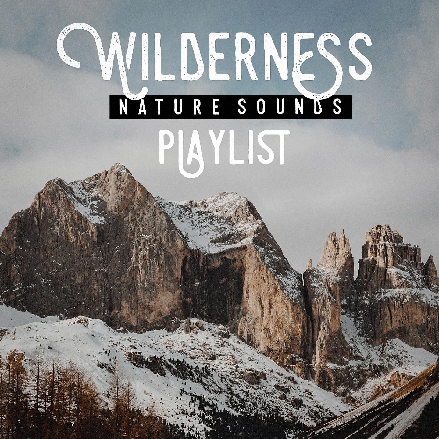 Постер альбома Wilderness nature sound playlist