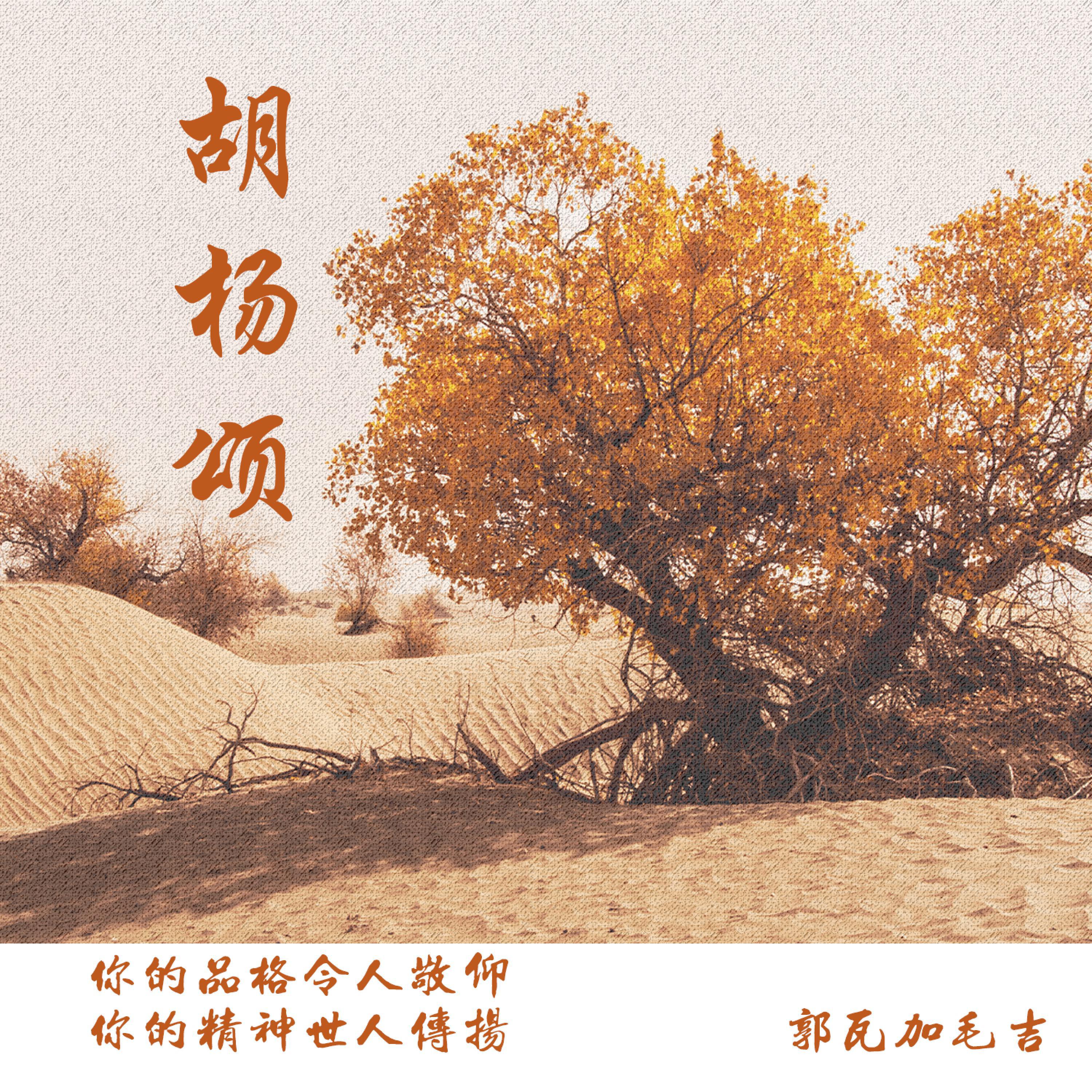 Постер альбома 胡杨颂