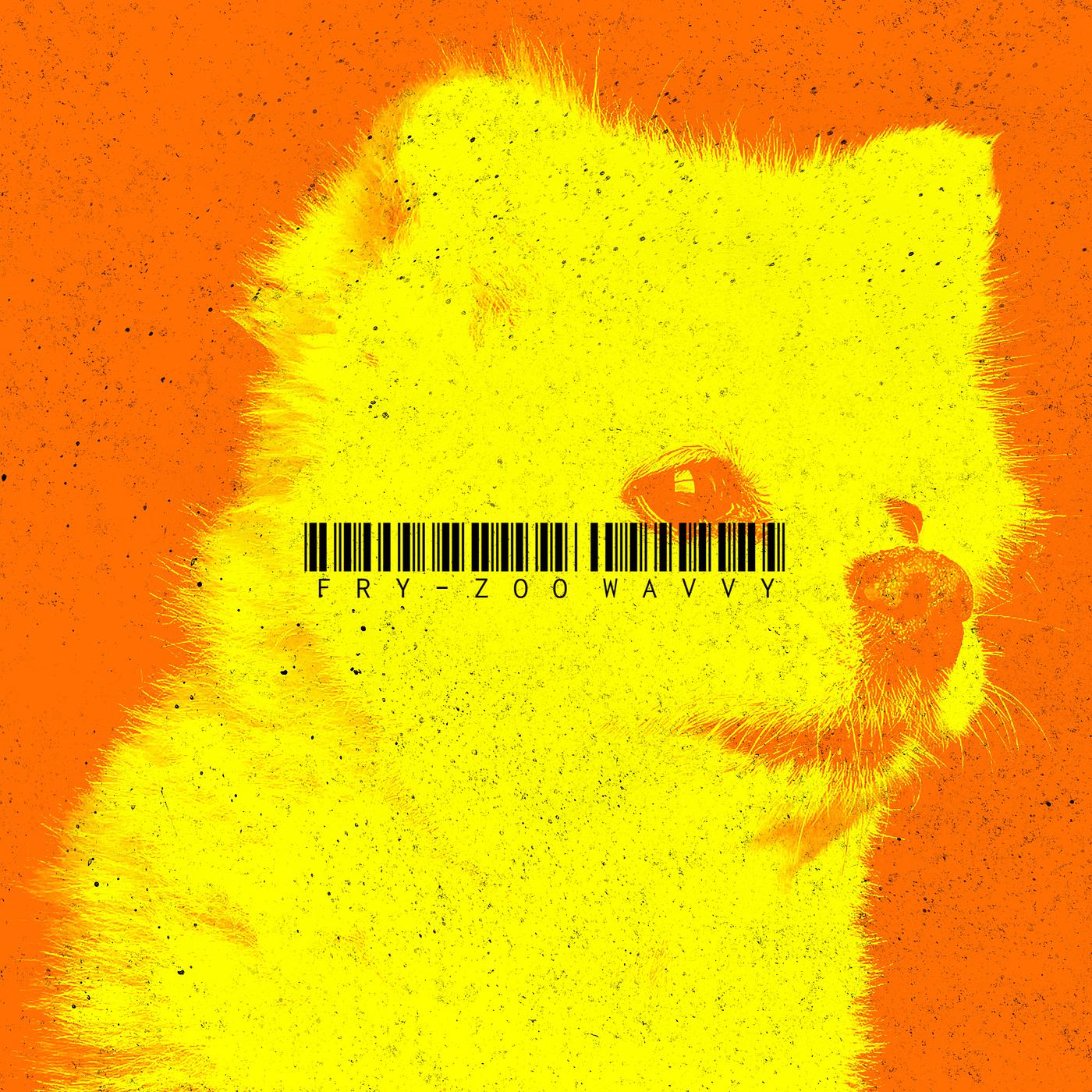 Постер альбома Fry-Zoo