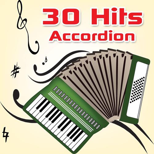 Постер альбома 30 Hits Accordion