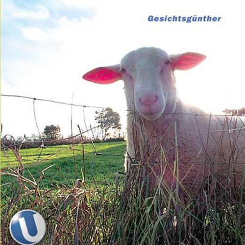 Постер альбома Gesichtsgünther 2001