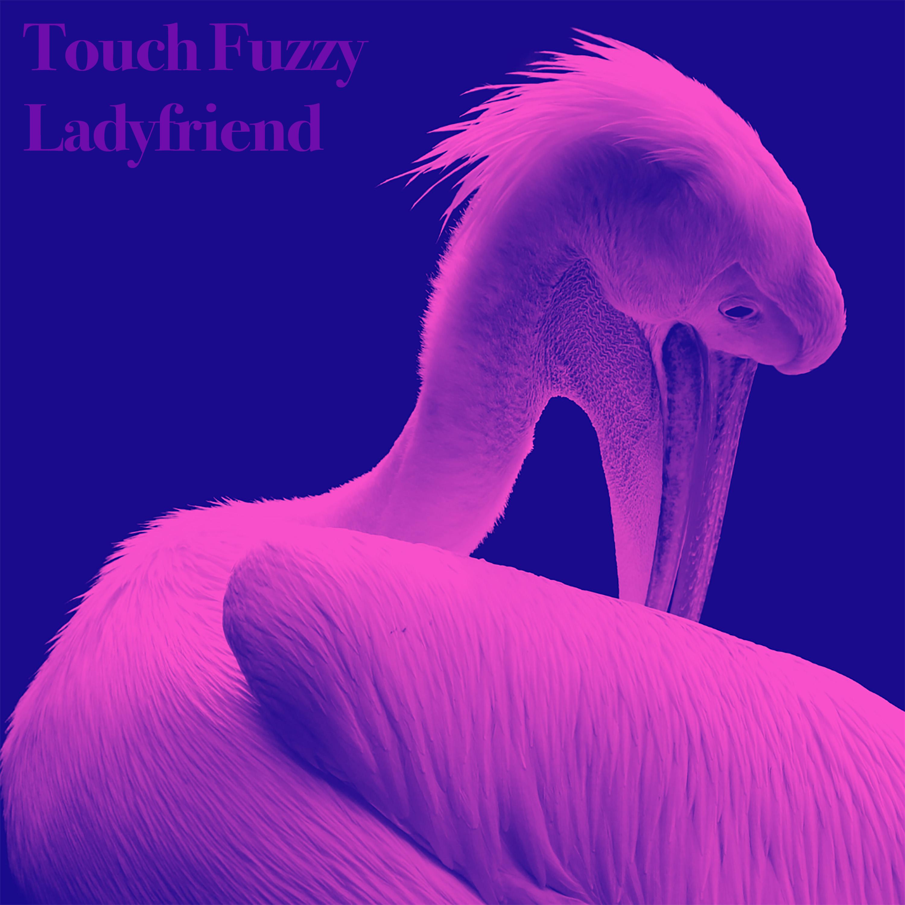 Постер альбома Ladyfriend