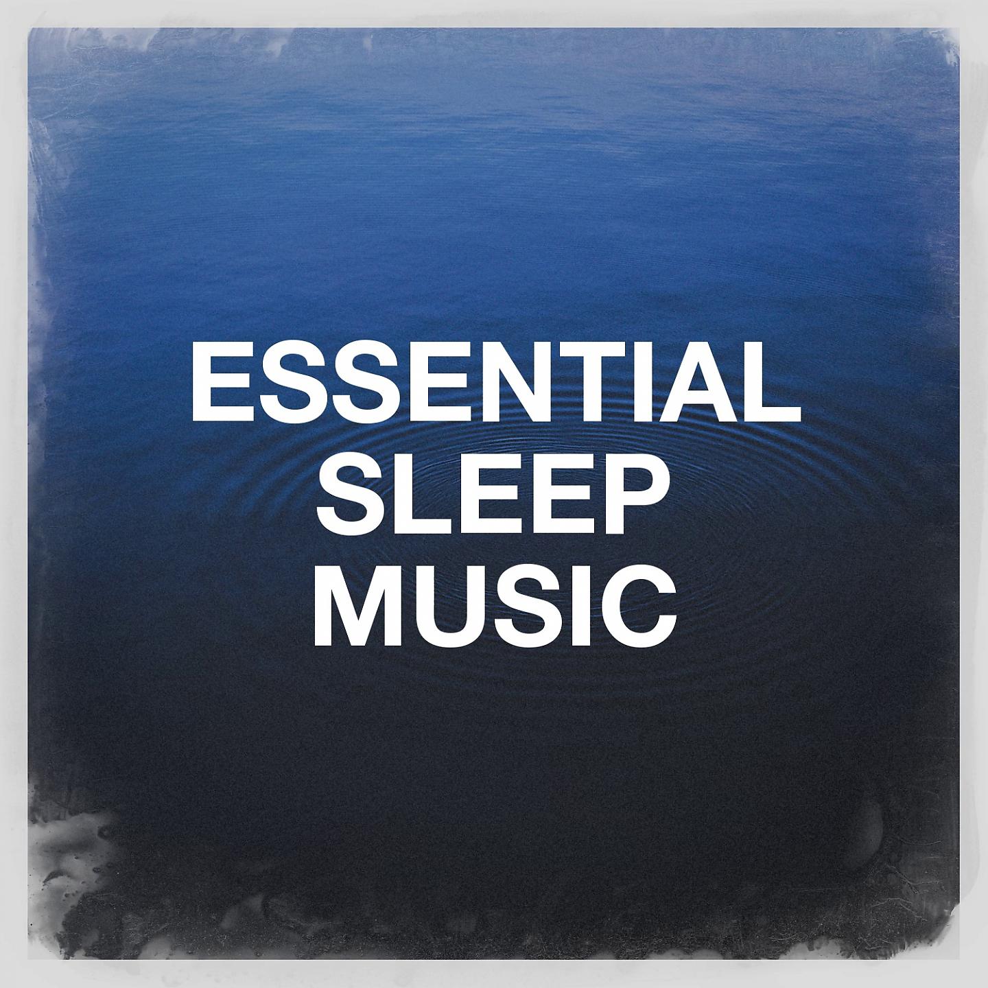 Постер альбома Essential Sleep Music