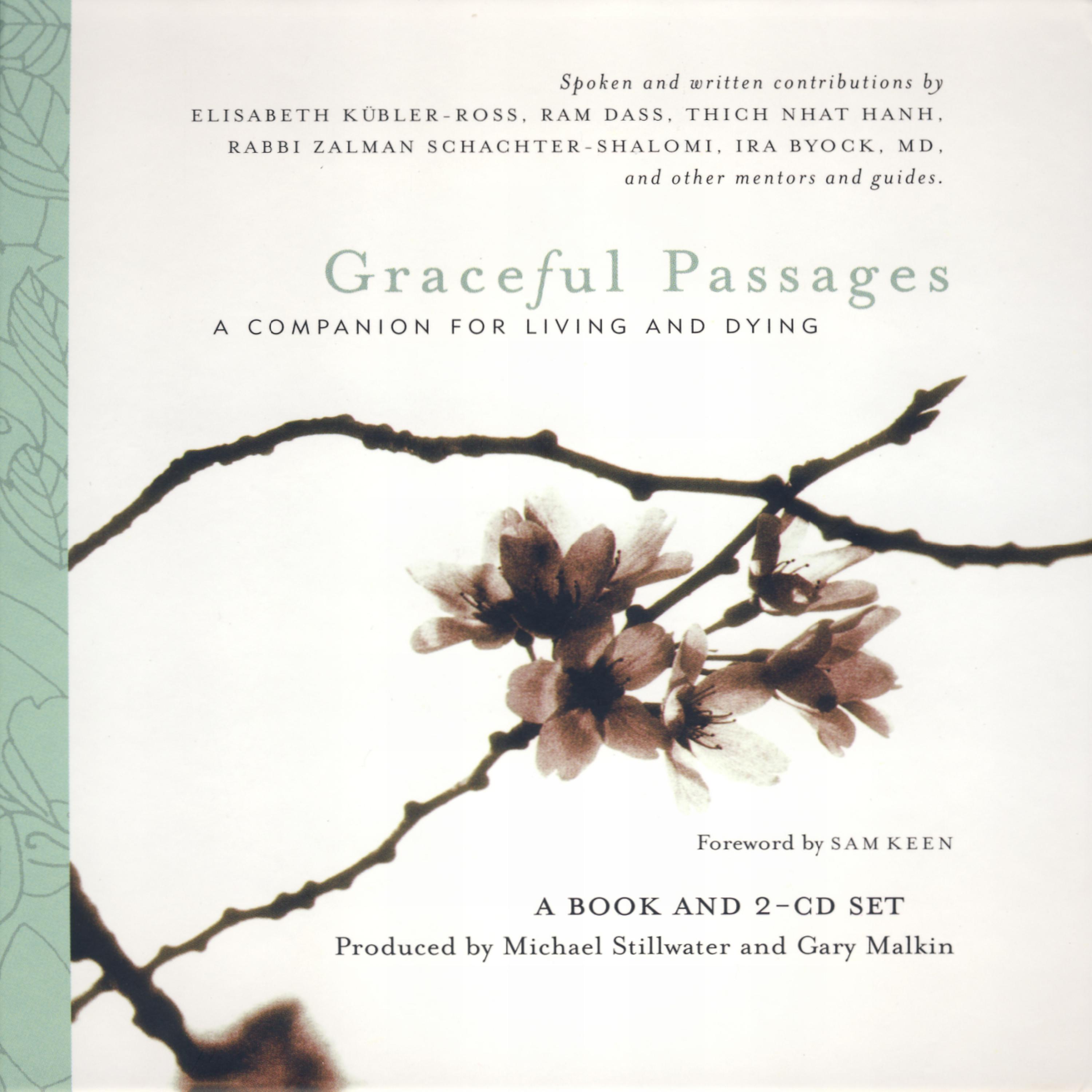 Постер альбома Graceful Passages