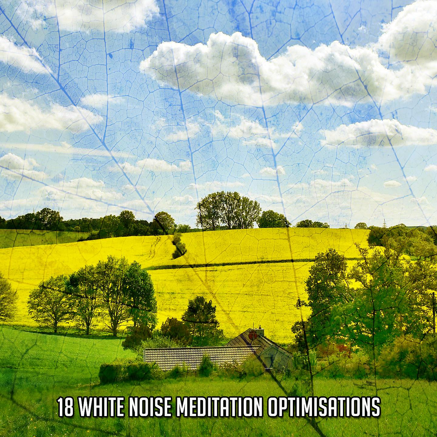 Постер альбома !!!! 18 White Noise Meditation Optimisations !!!!