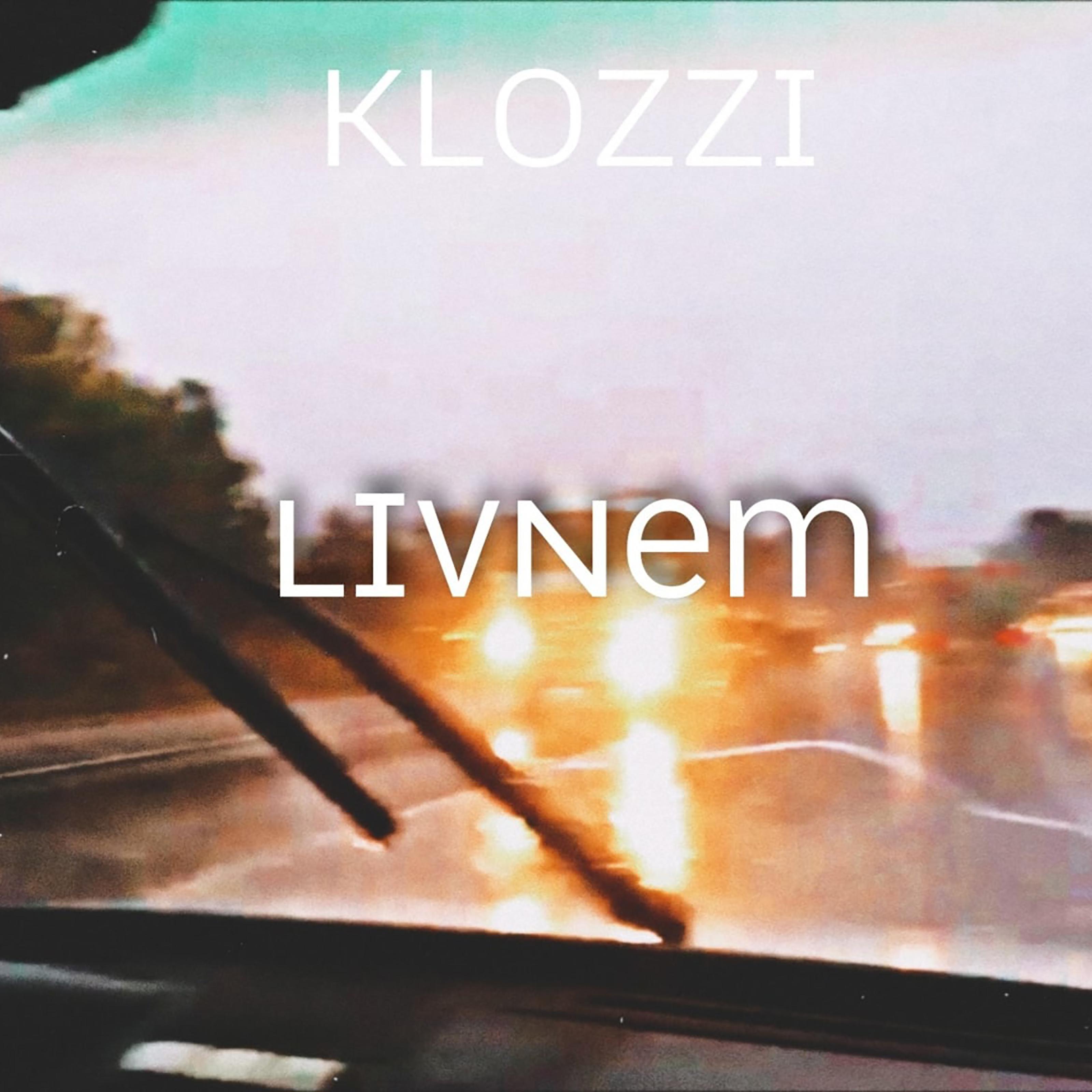 Постер альбома Livnem