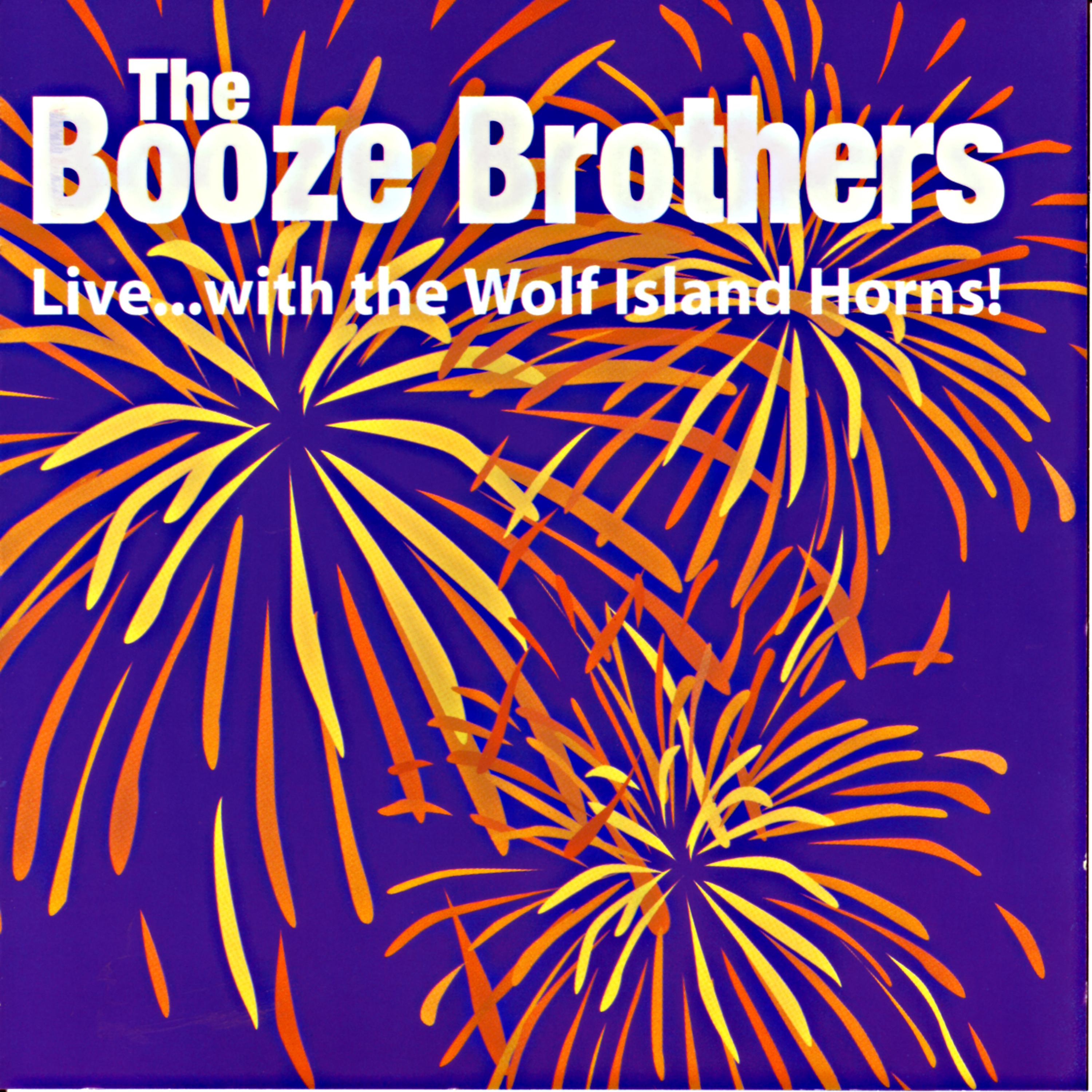 Постер альбома The Booze Brothers Live...With the Wolf Island Horns!