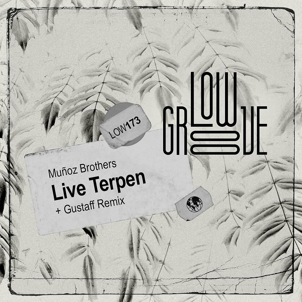 Постер альбома Live Terpen