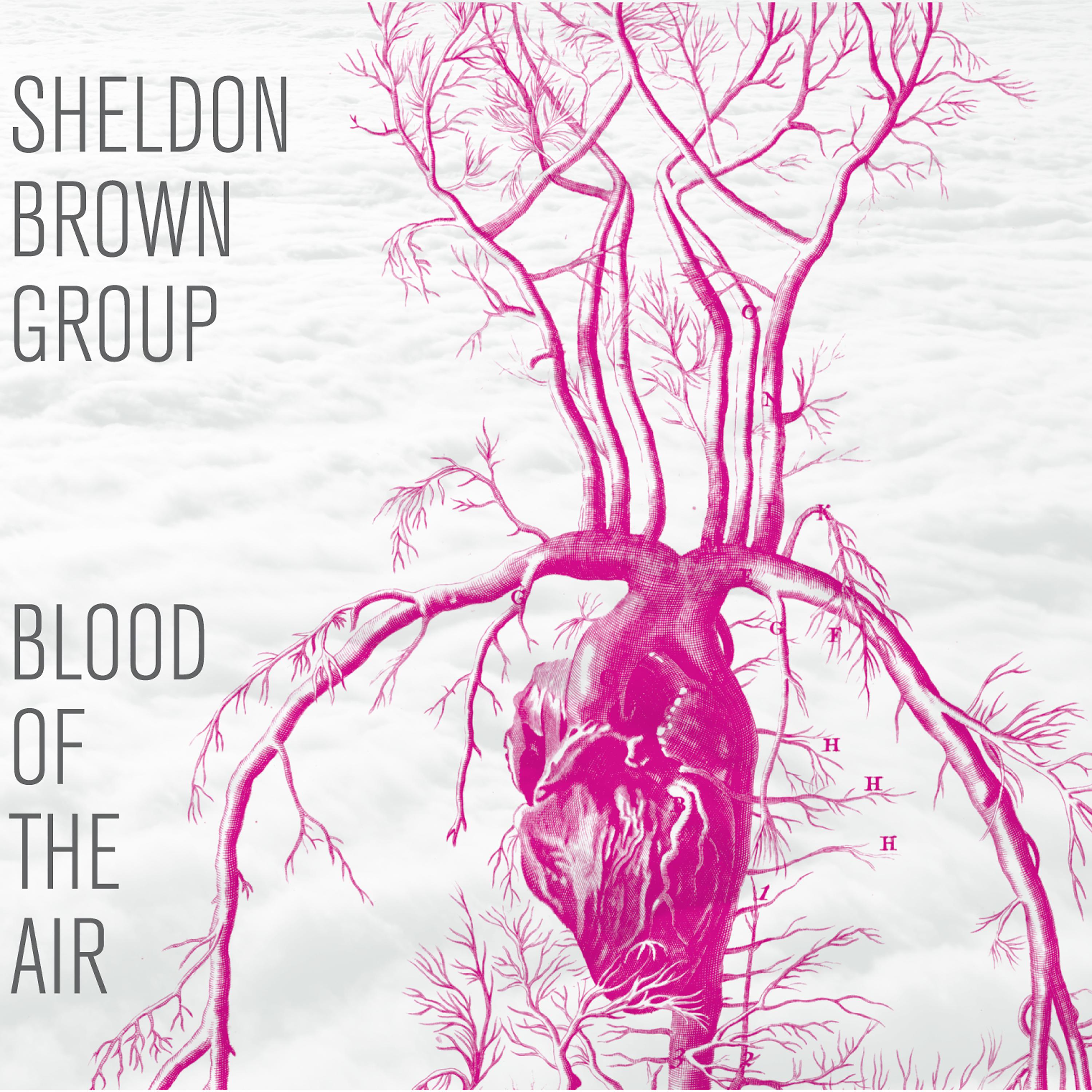 Постер альбома Blood of the Air