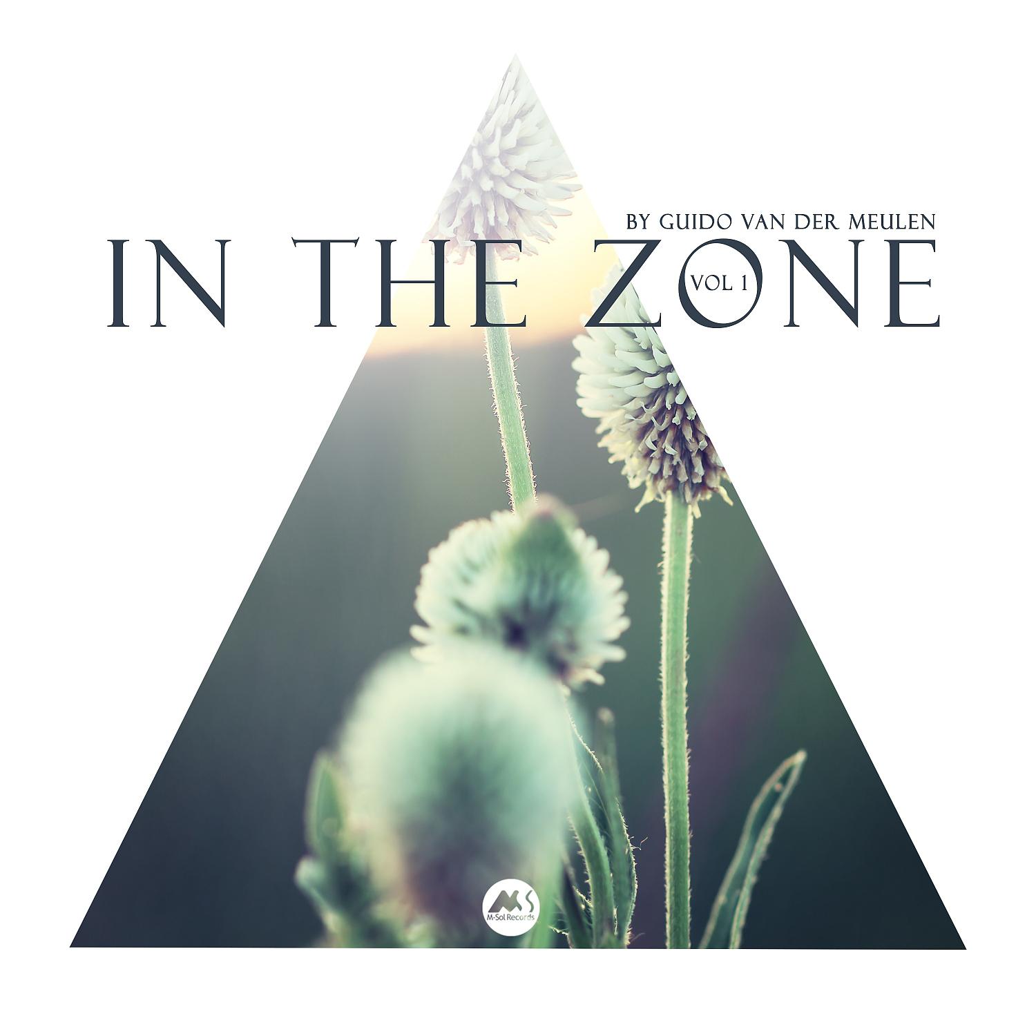 Постер альбома In the Zone Vol 1
