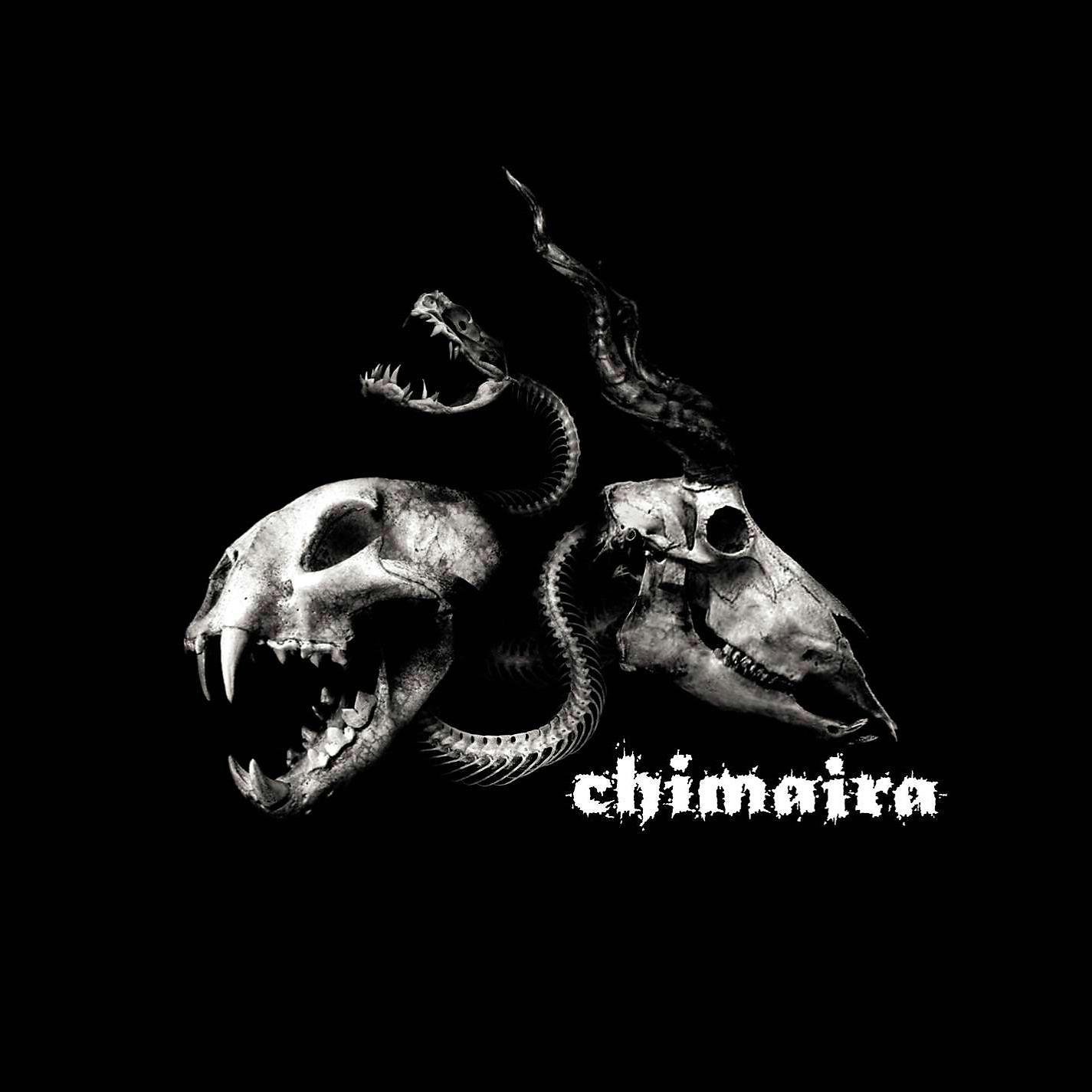 Постер альбома Chimaira Bonus Disc (Digital Bundle)