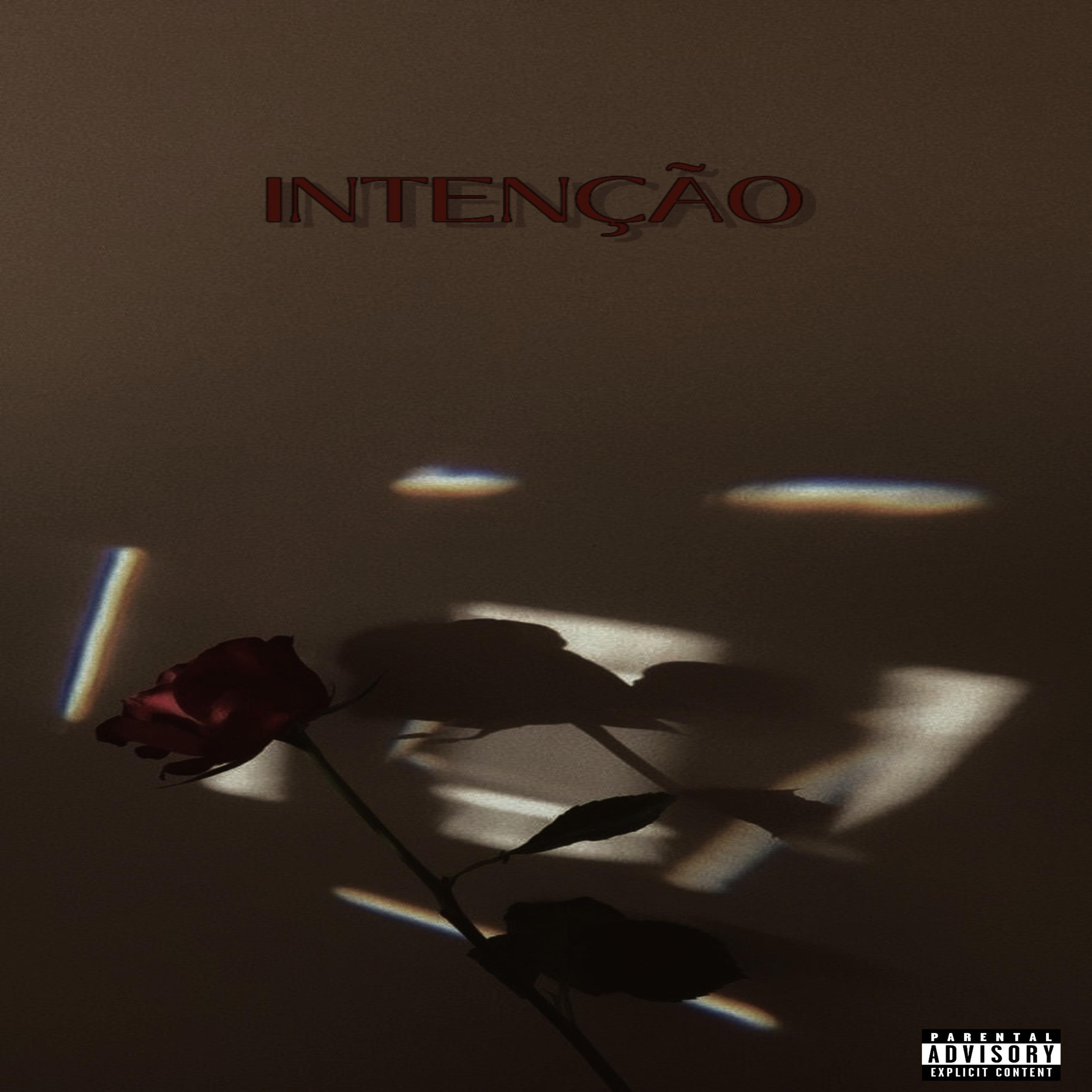 Постер альбома Intenção