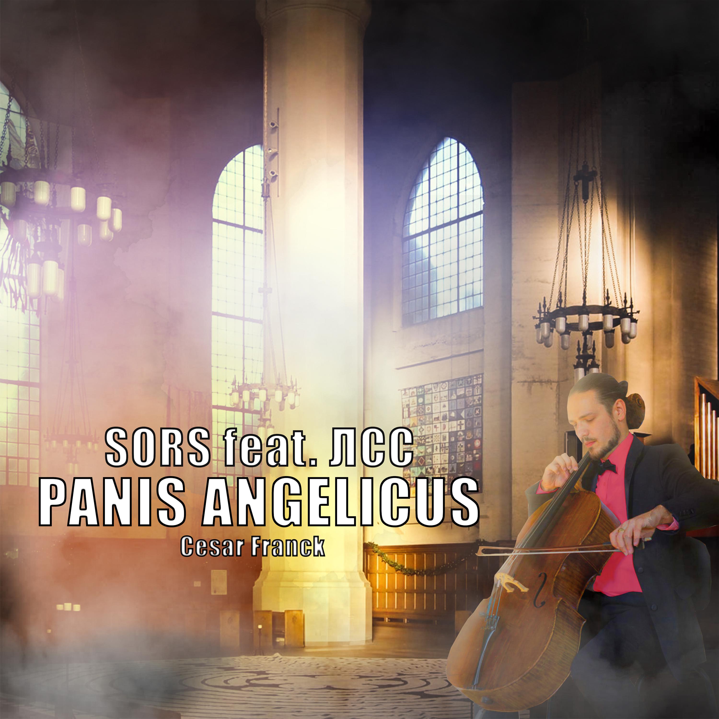 Постер альбома Panis Angelicus