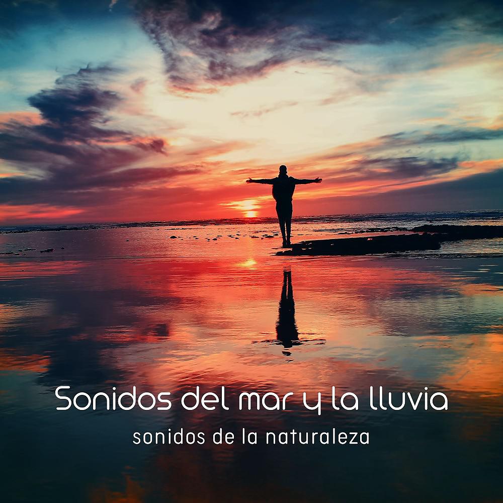 Постер альбома Sonidos del Mar y la Lluvia (Sonidos de la Naturaleza)