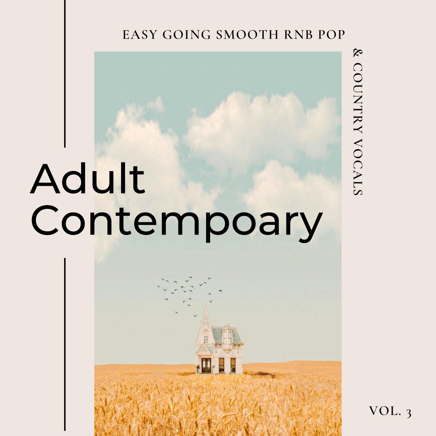 Постер альбома Adult Contemporary: Easy Going Smooth Rnb Pop & Country Vocals, Vol. 03