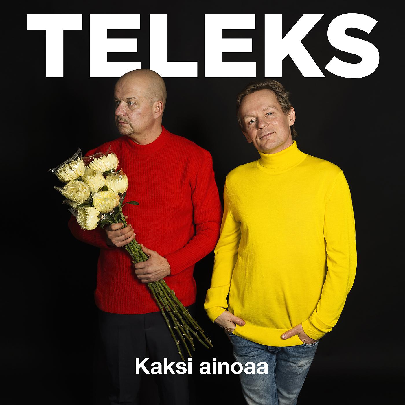 Постер альбома Kaksi Ainoaa