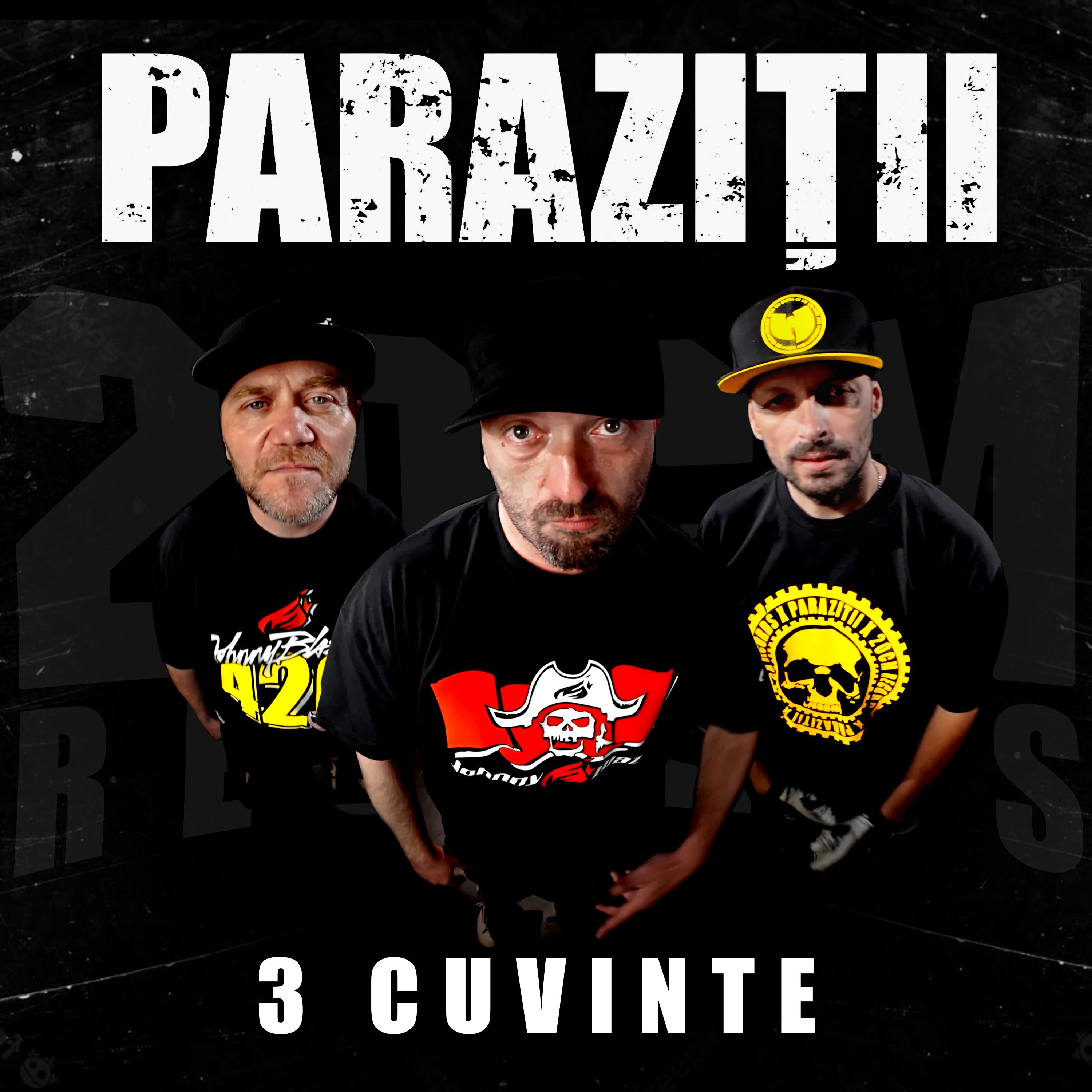 Постер альбома 3 Cuvinte