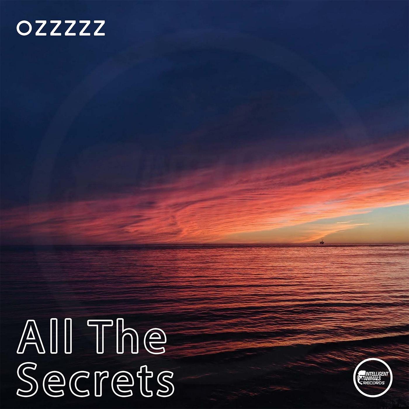 Постер альбома All the Secrets