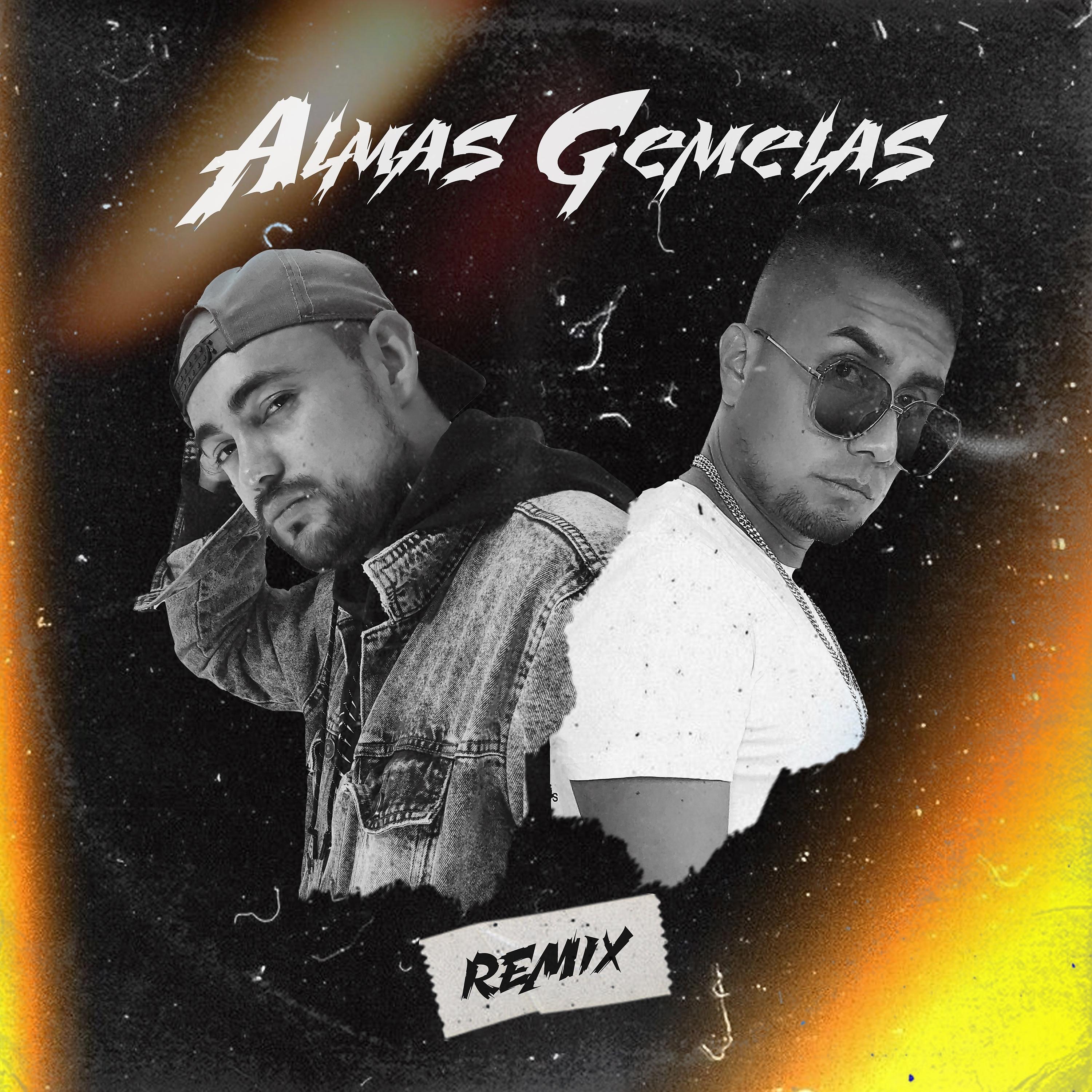 Постер альбома Almas Gemelas