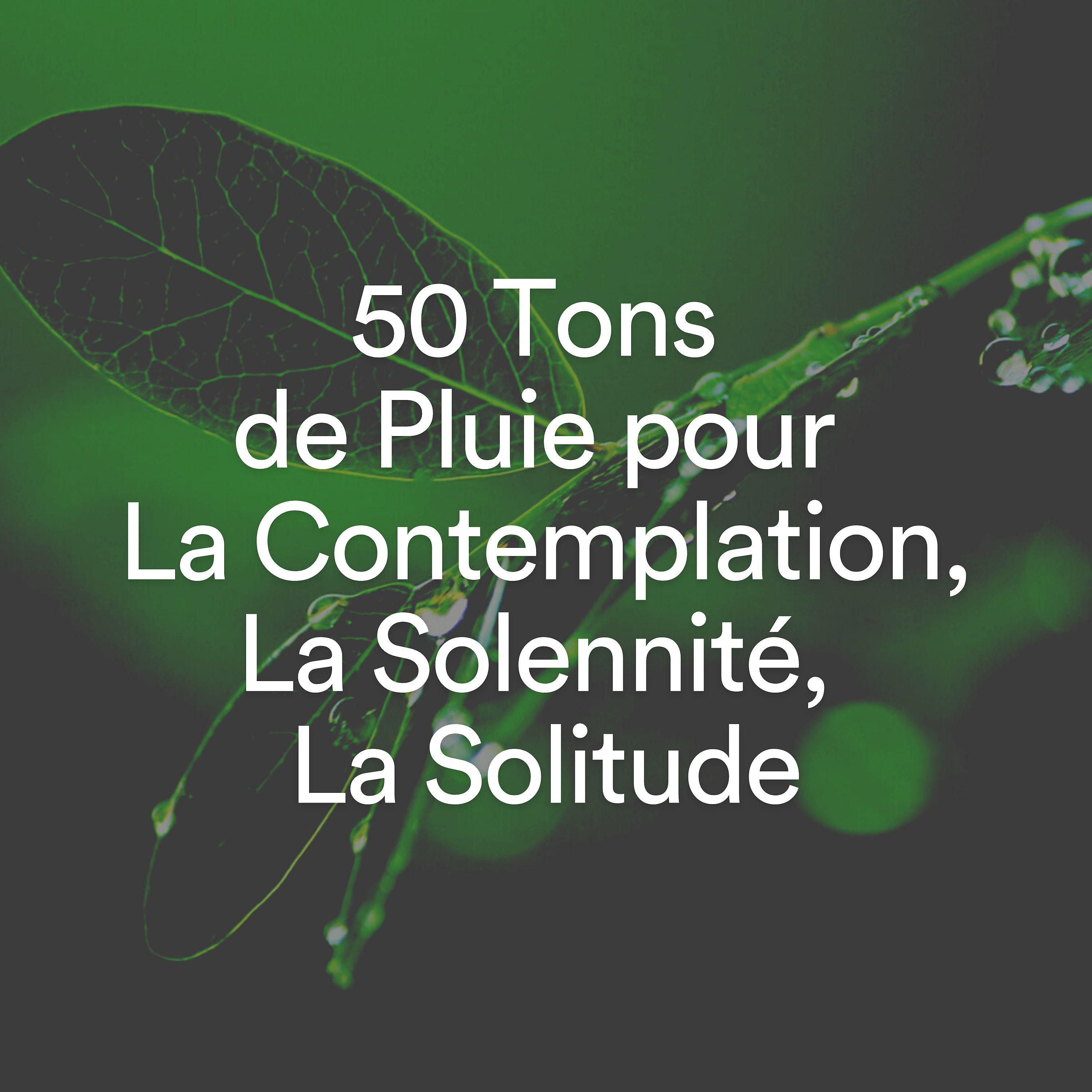 Постер альбома 50 Tons de Pluie pour La Contemplation, La Solennité, La Solitude