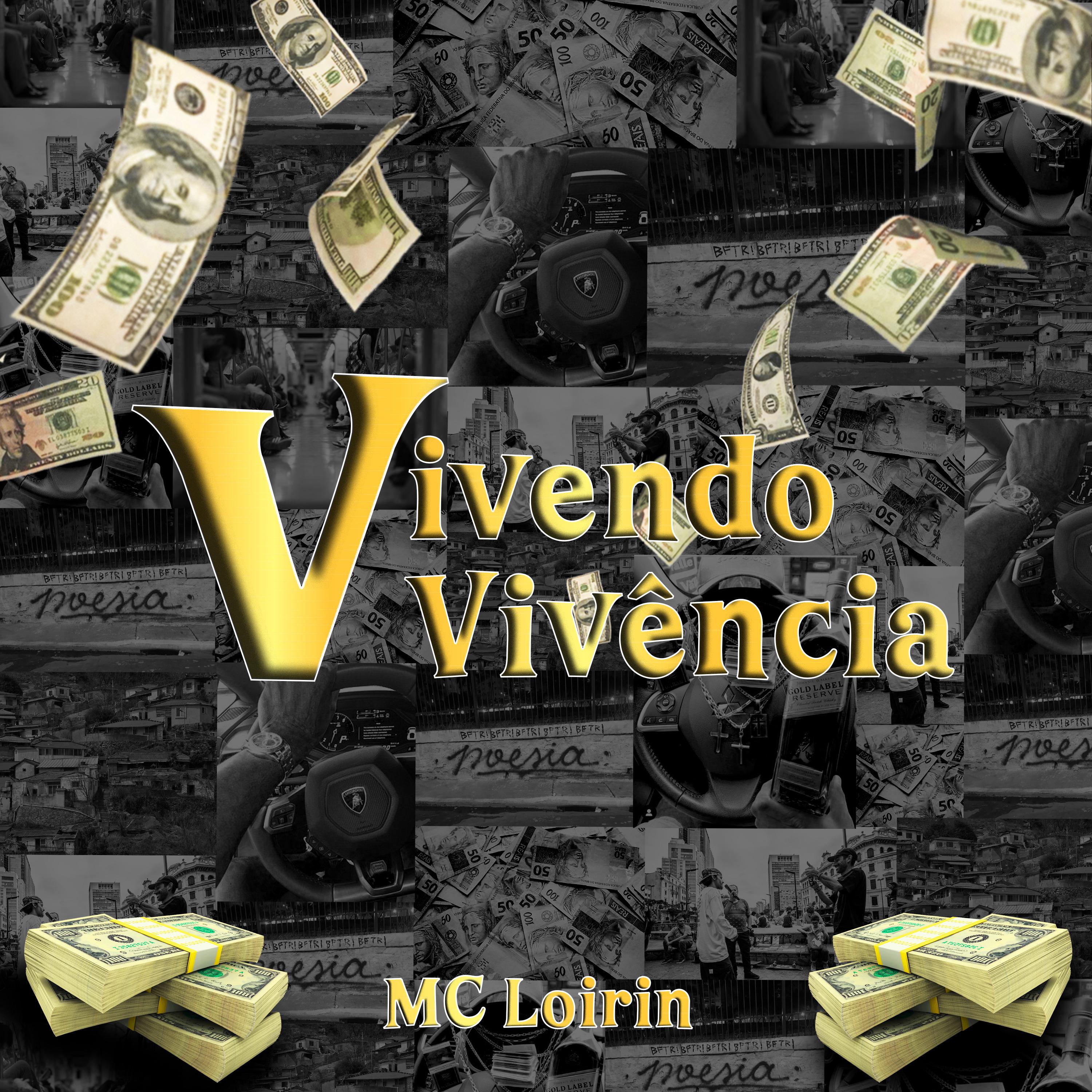 Постер альбома Vivendo Vivência