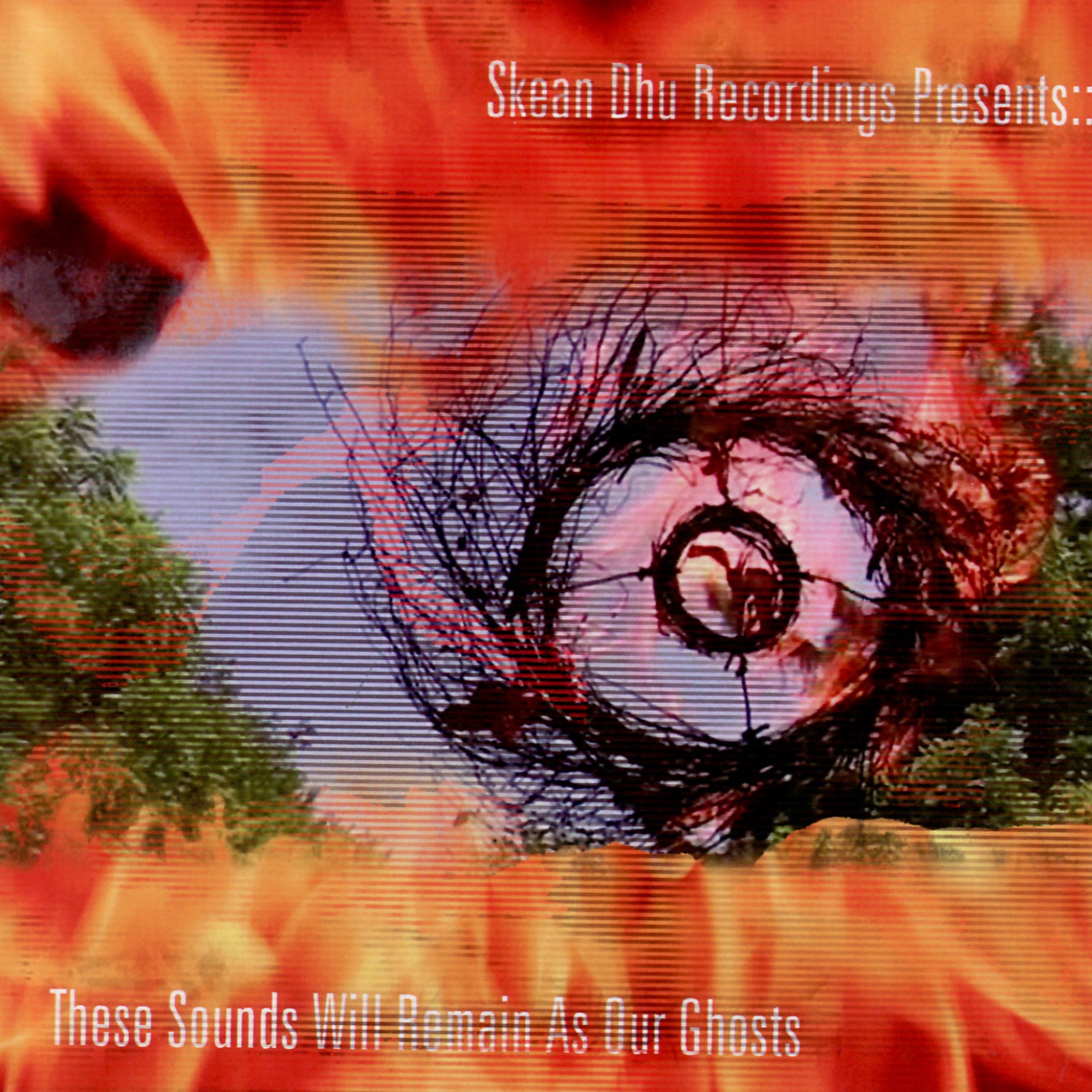 Постер альбома Skean Dhu Recordings Presents: These Sounds Will Remain As Our Ghosts