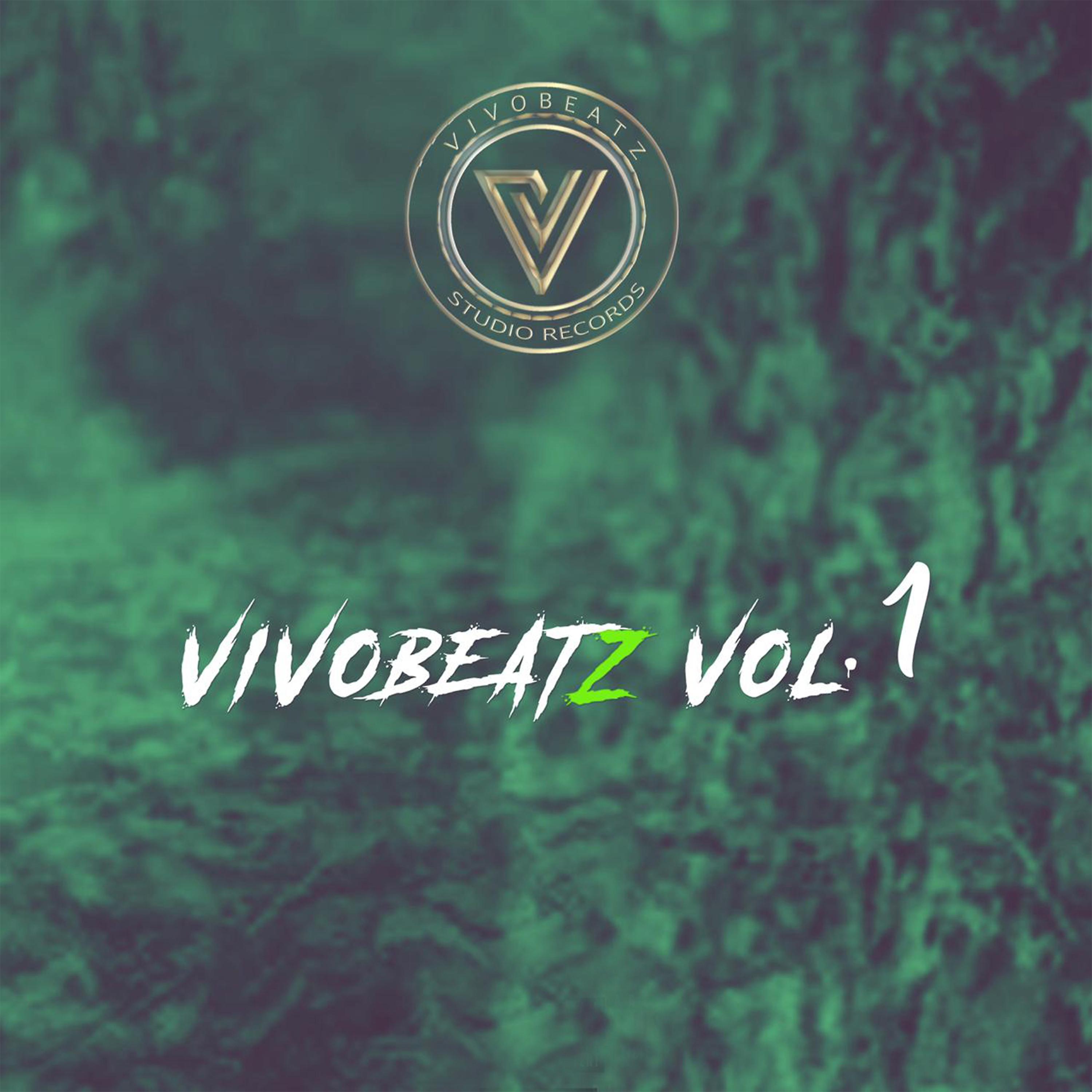 Постер альбома VIVOBEATZ Vol. 1