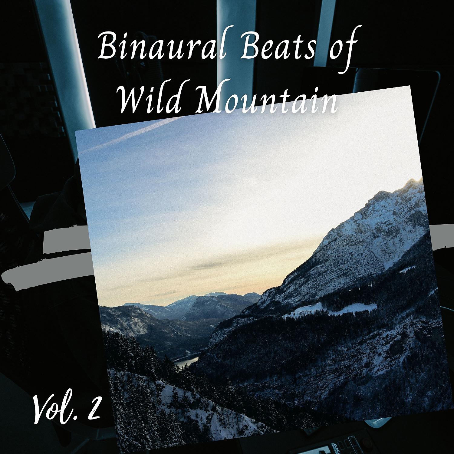 Постер альбома Binaural Beats of Wild Mountain Vol. 2