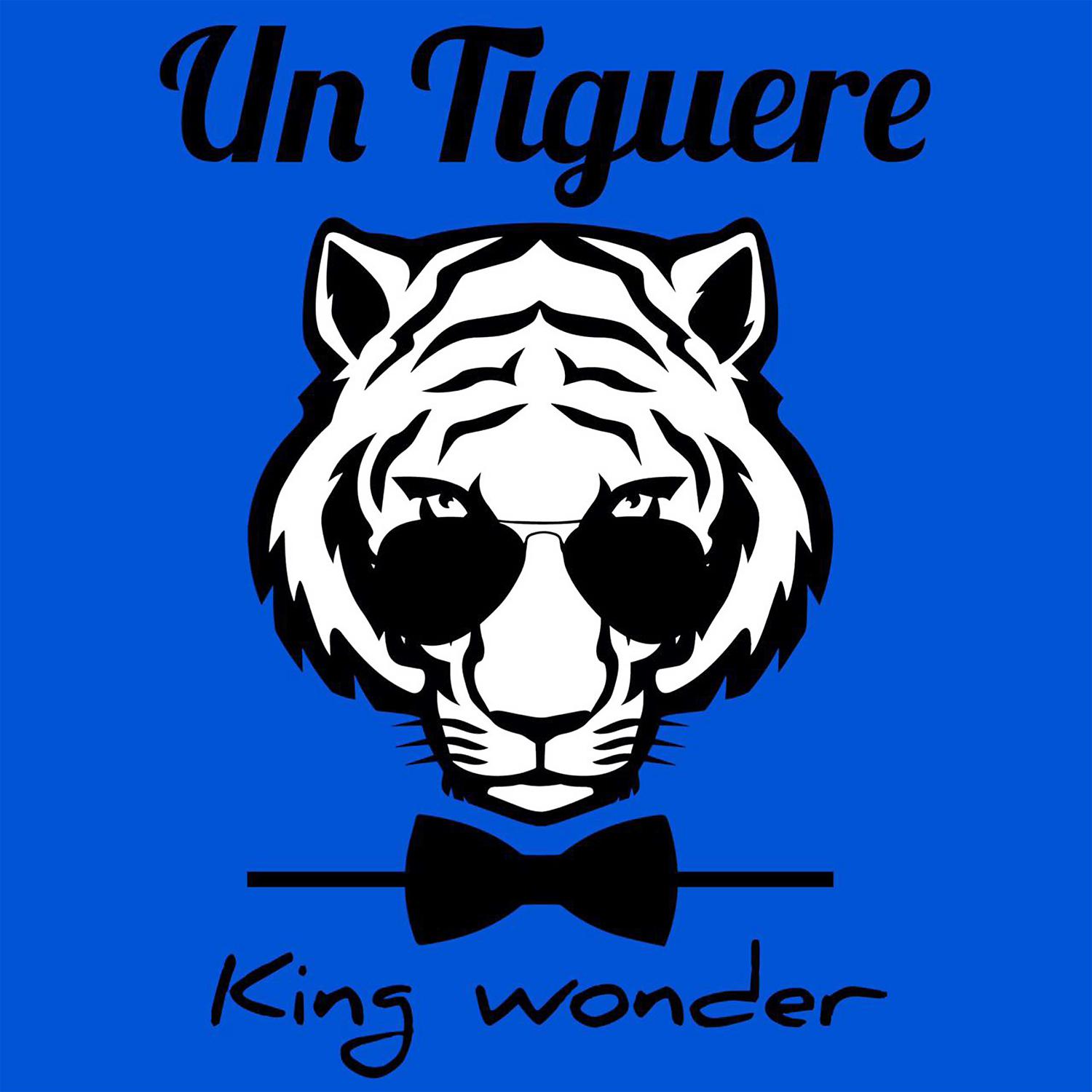 Постер альбома Un Tiguere