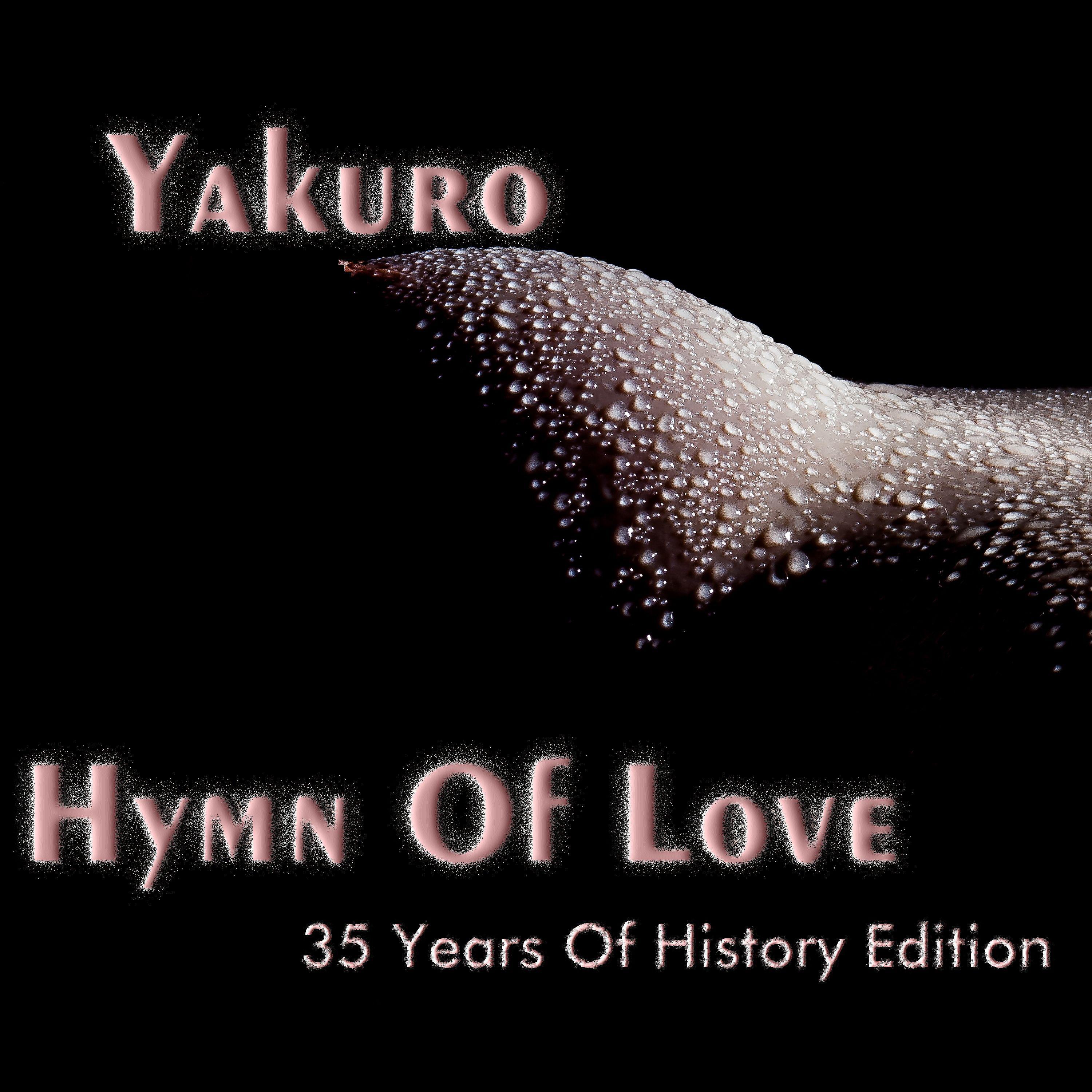 Постер альбома Hymn of Love (35 Years of History Edition)