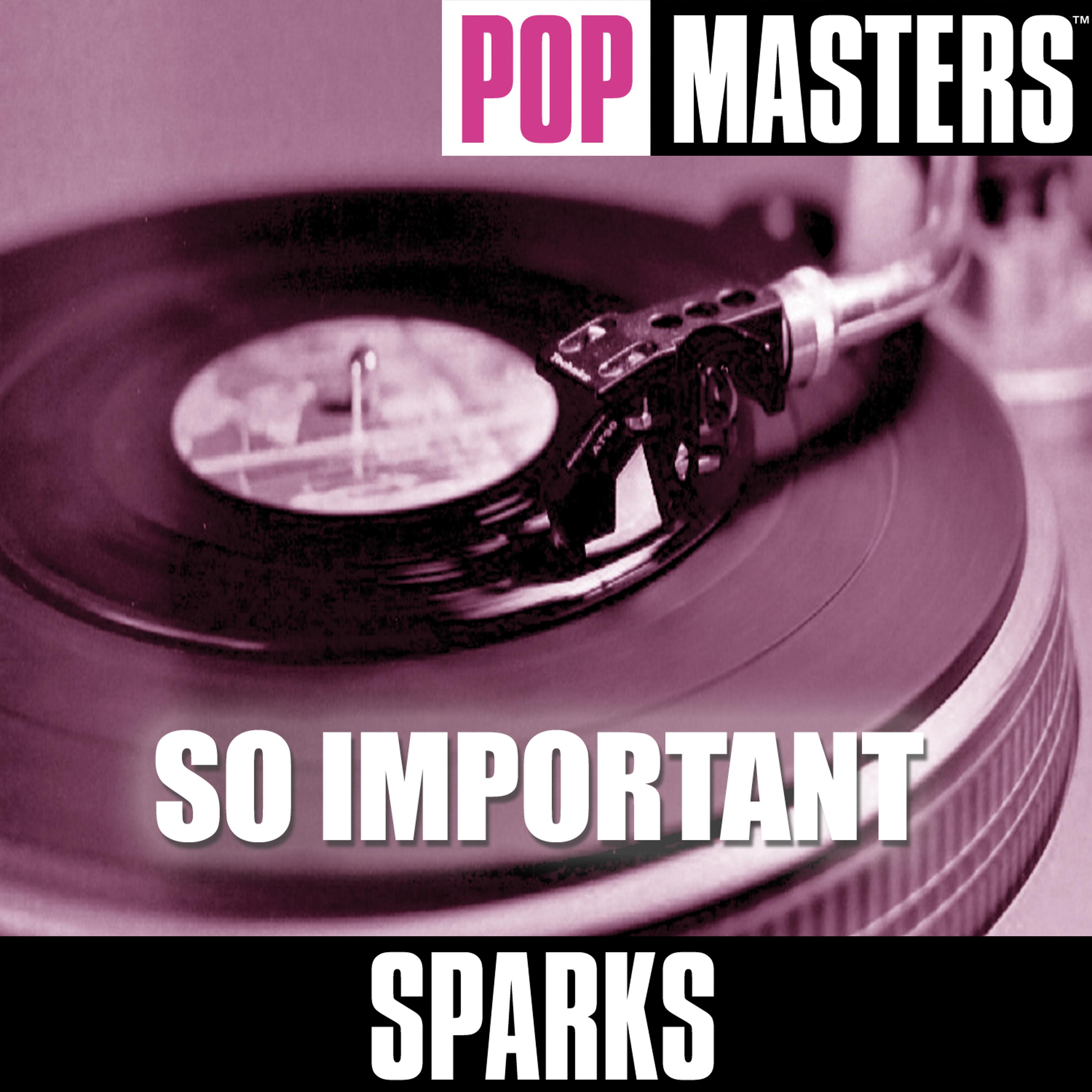 Постер альбома Pop Masters: So Important