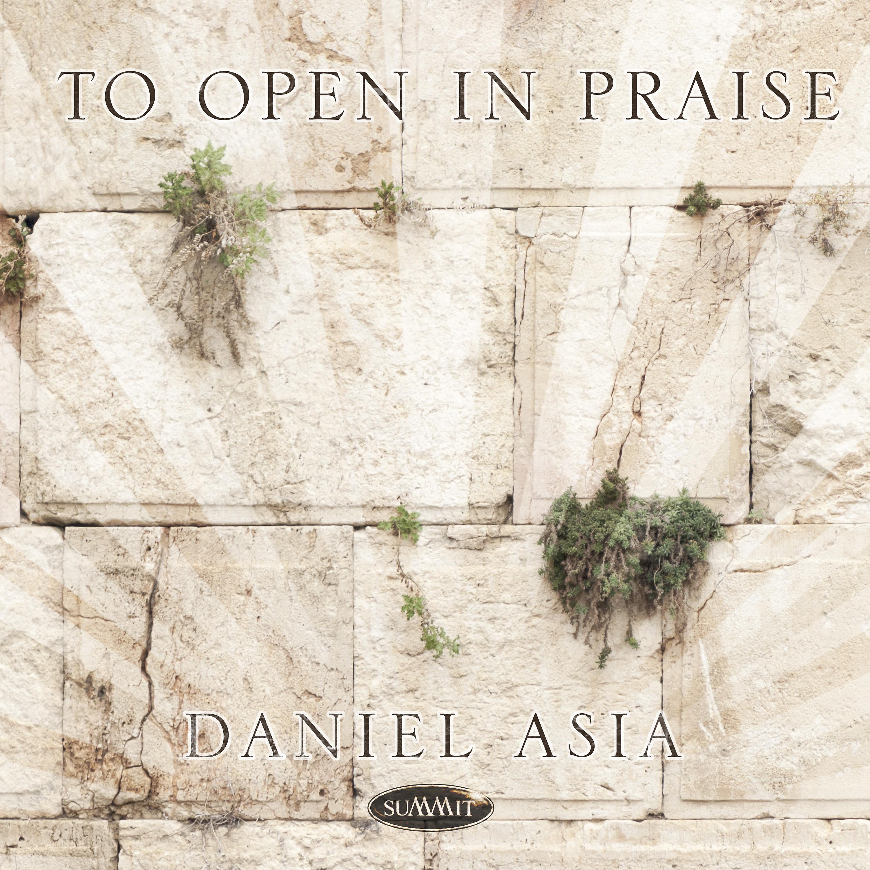 Постер альбома To Open in Praise