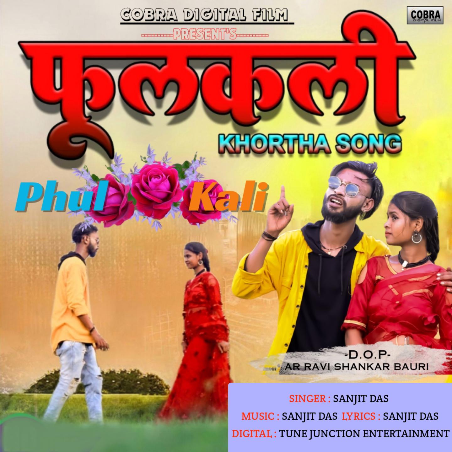 Постер альбома Phulkali