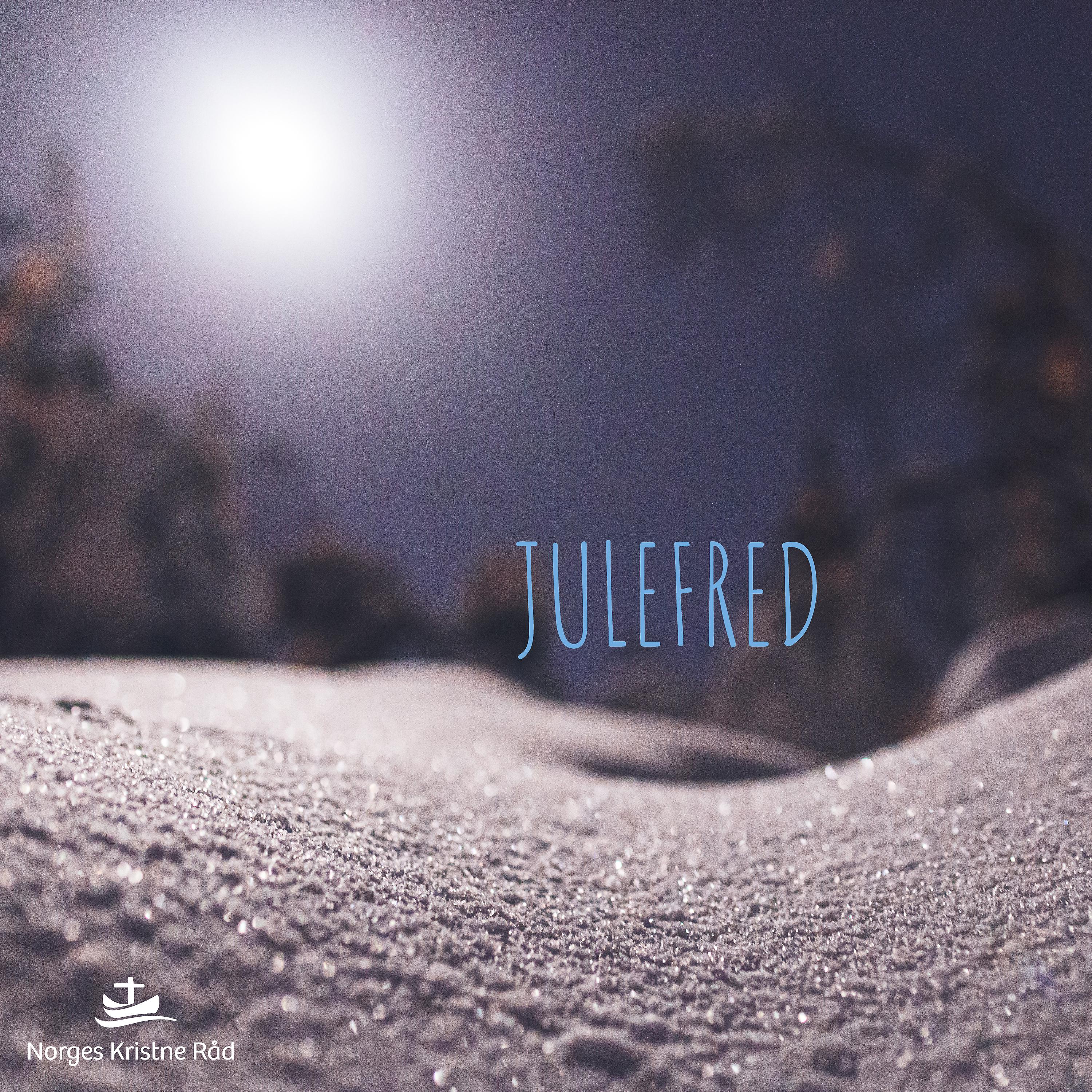 Постер альбома Julefred