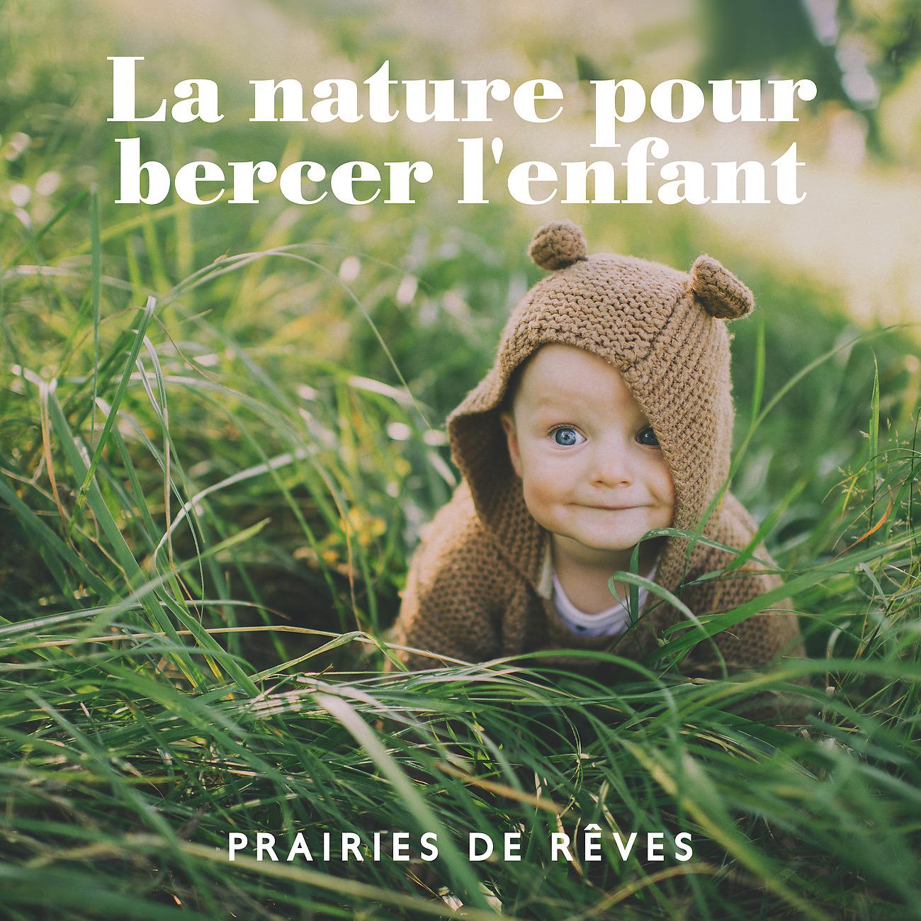 Постер альбома La nature pour bercer l'enfant. Prairies de rêves