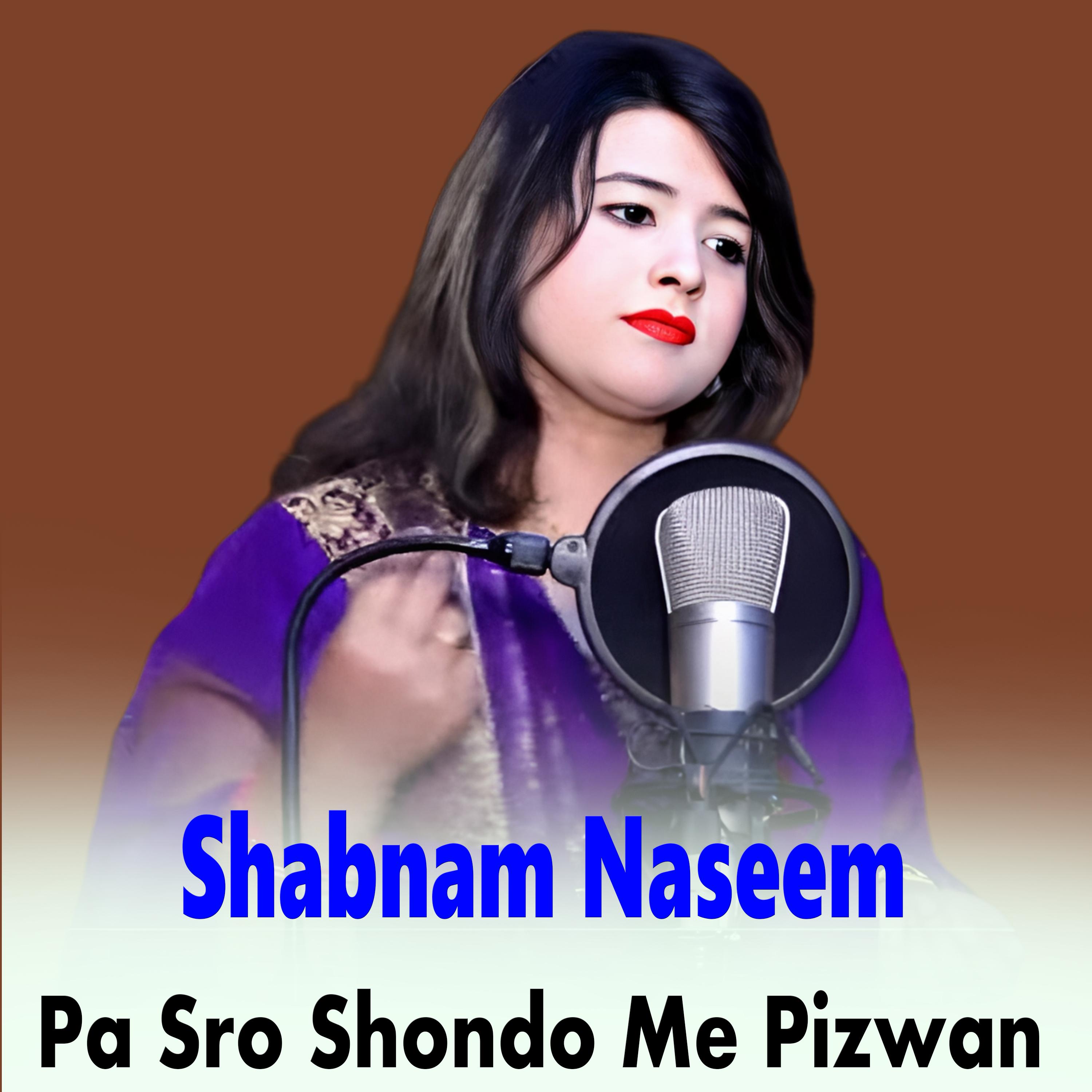 Постер альбома Pa Sro Shondo Me Pizwan