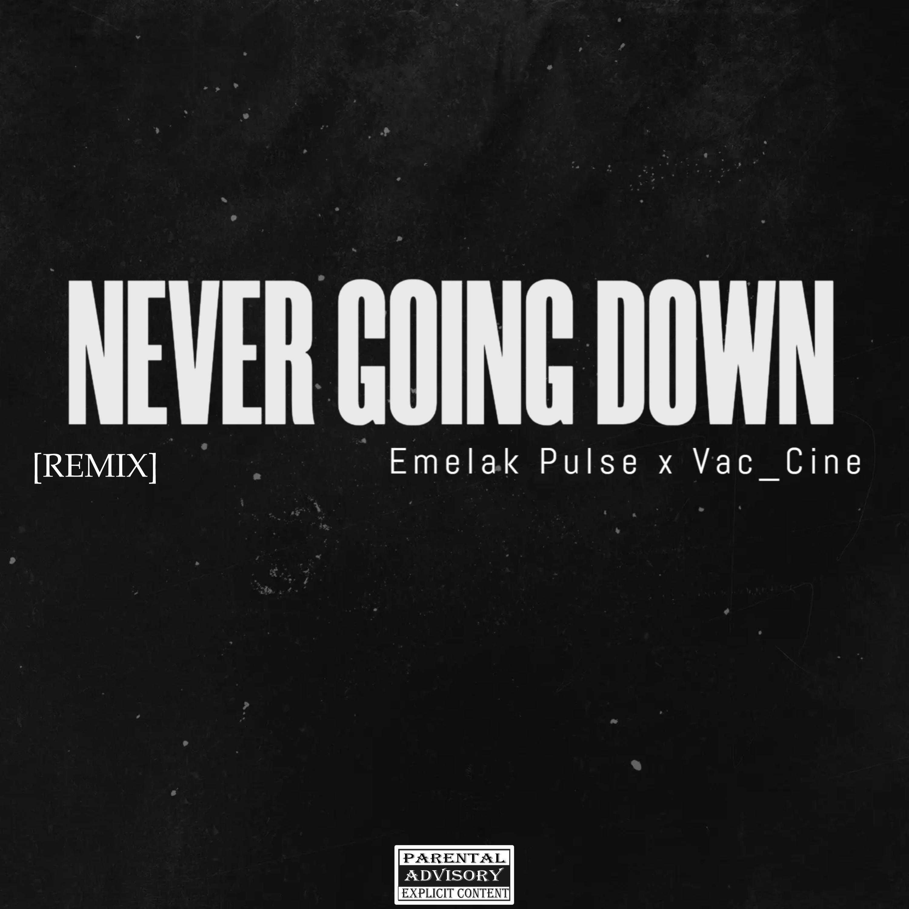 Постер альбома Never Going Down [REMIX]