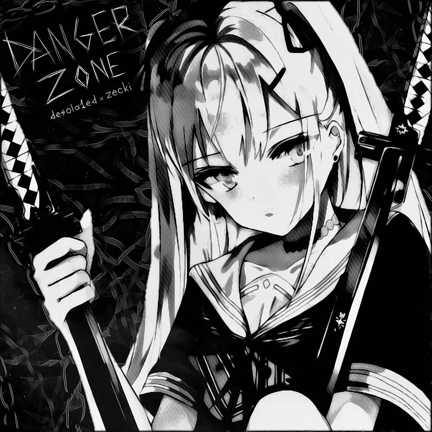 Постер альбома DANGER ZONE