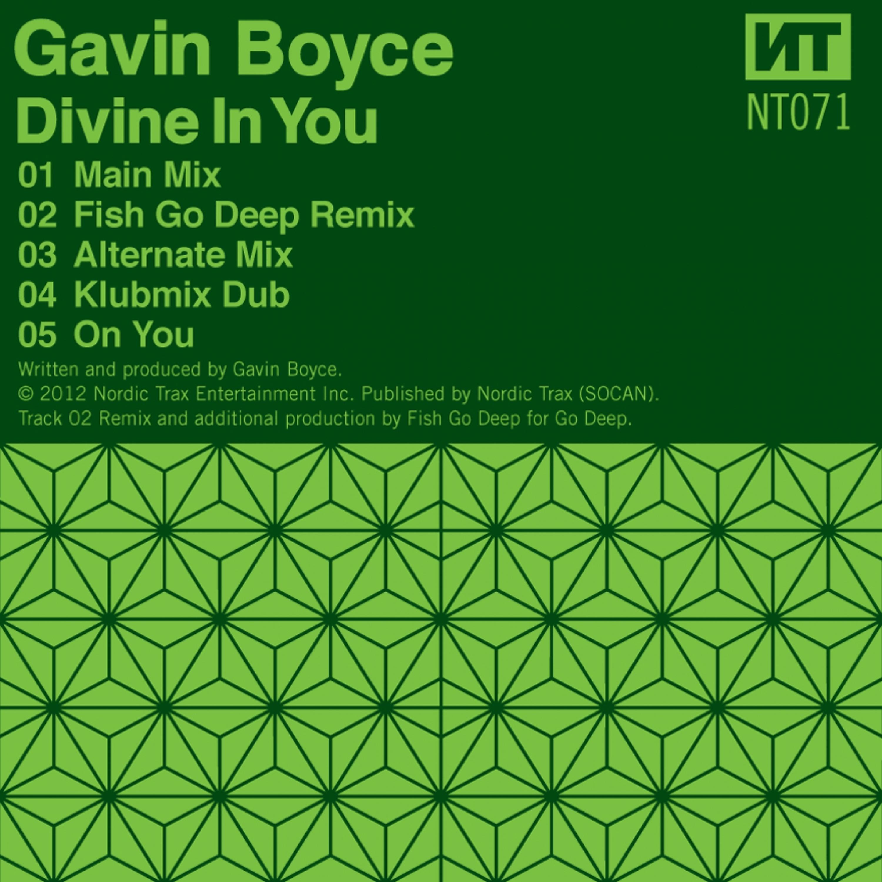 Постер альбома Divine in You
