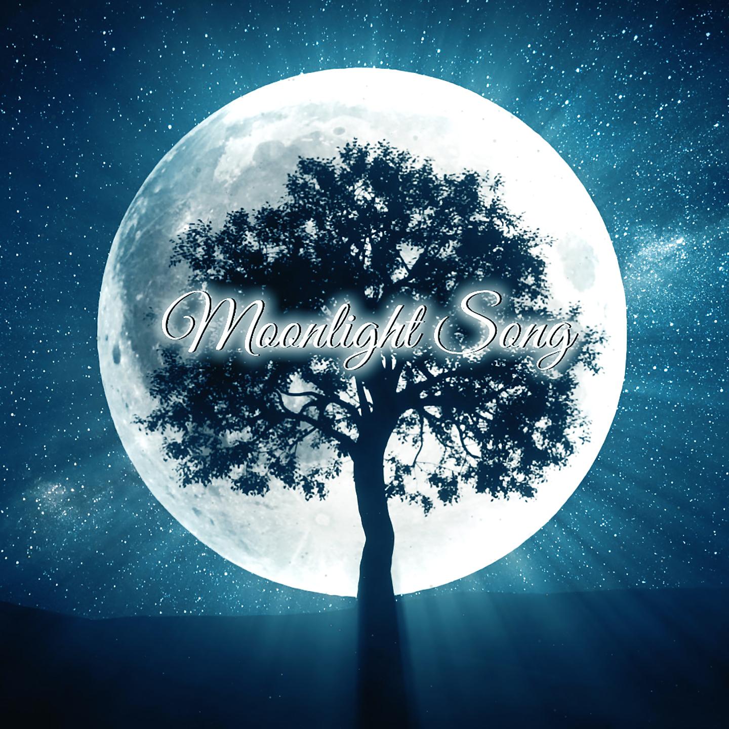 Постер альбома Moonlight Song