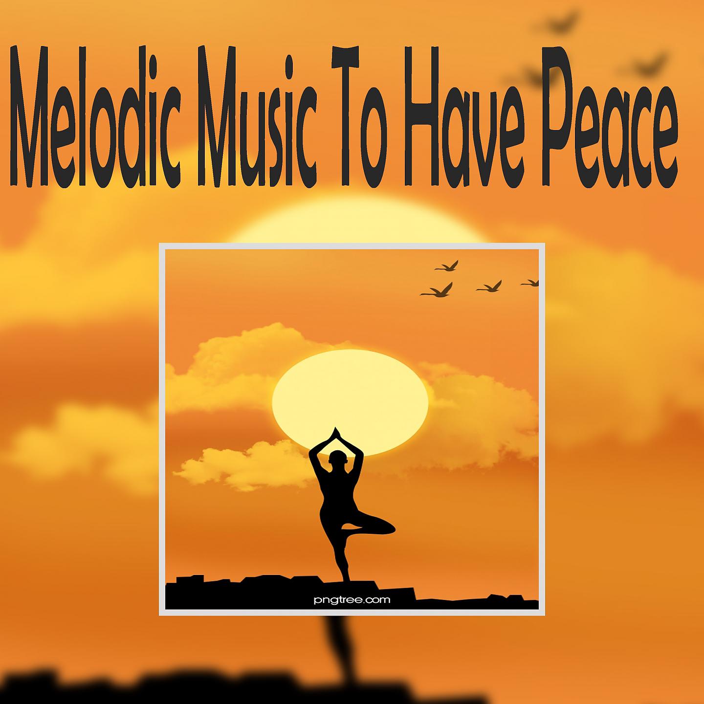 Постер альбома Melodic Music To Have Peace