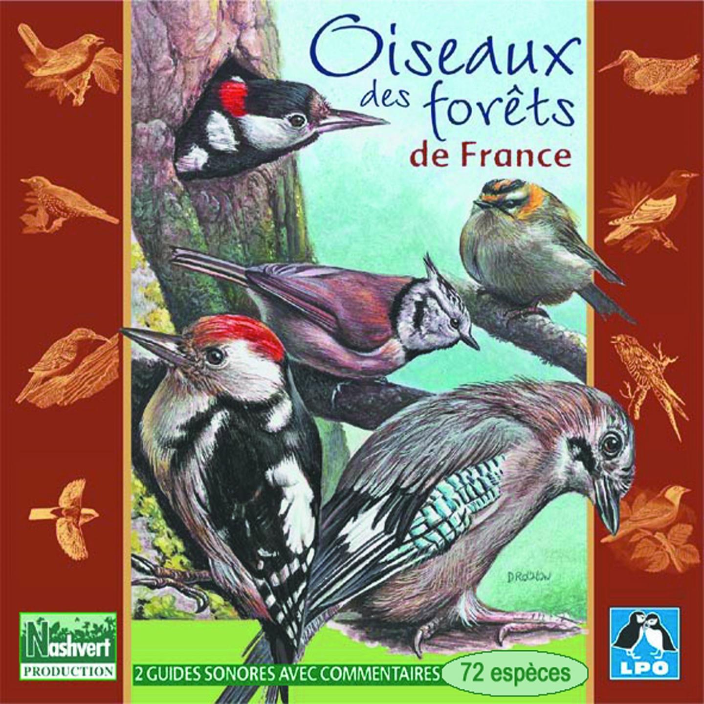 Постер альбома Oiseaux des forêts de France