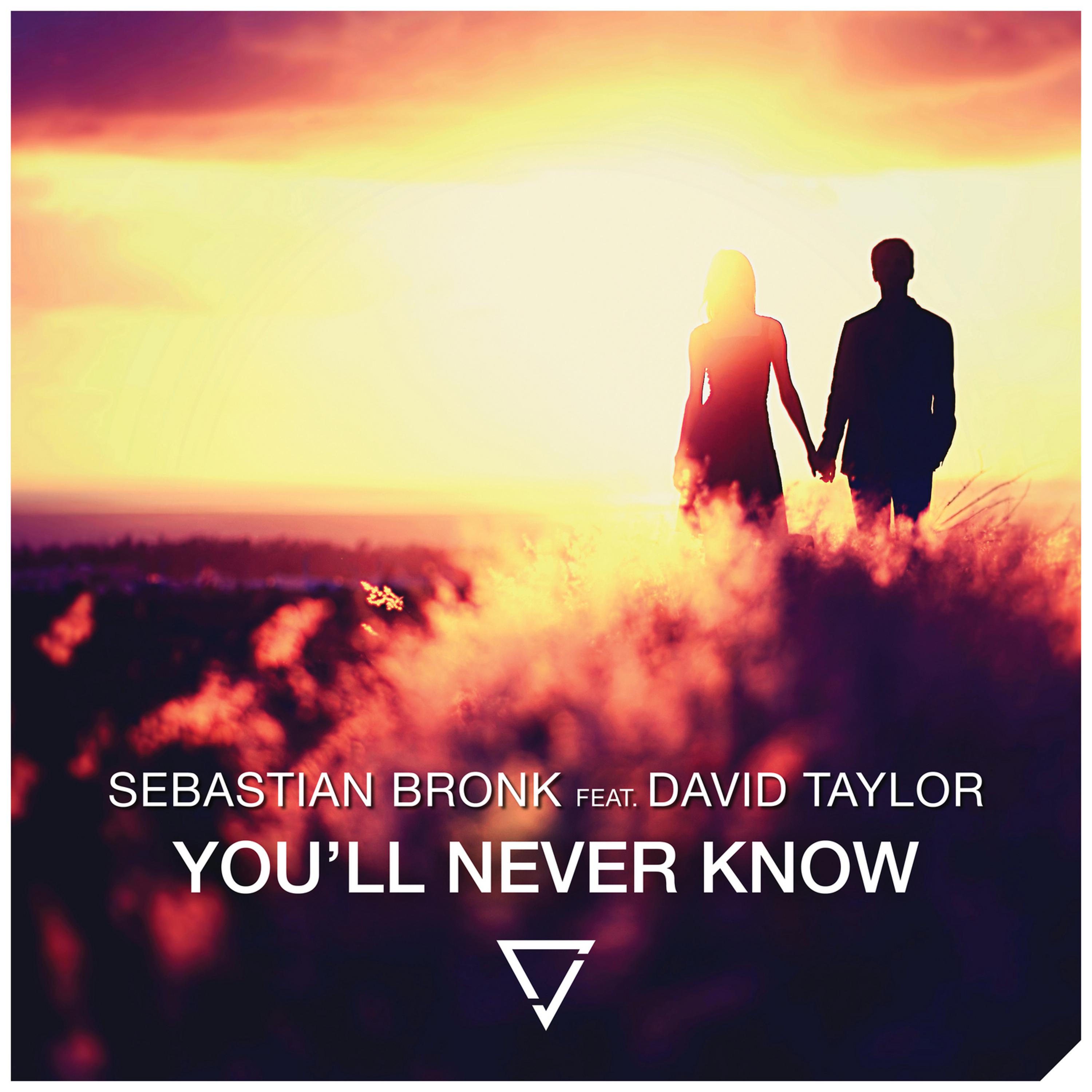 Постер альбома You'll Never Know (feat. David Taylor)