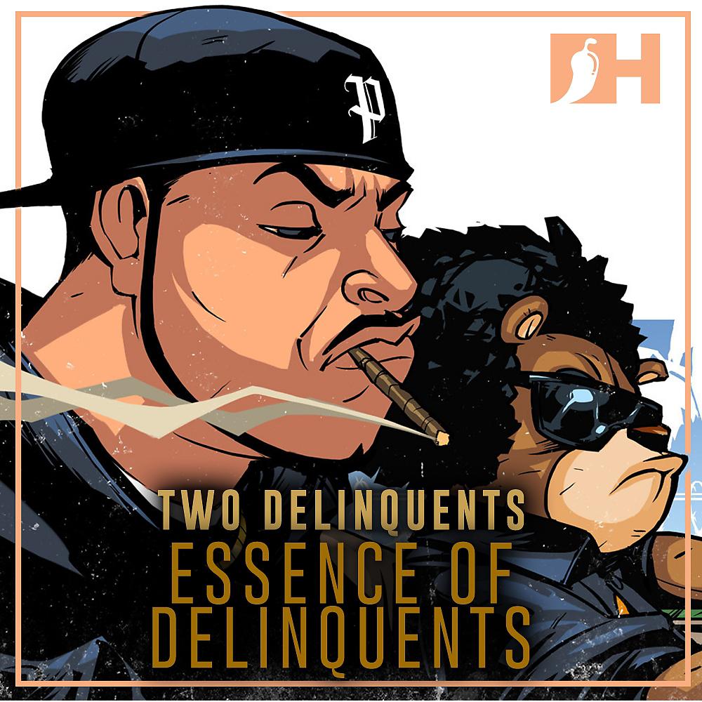 Постер альбома Essense Of Delinquents